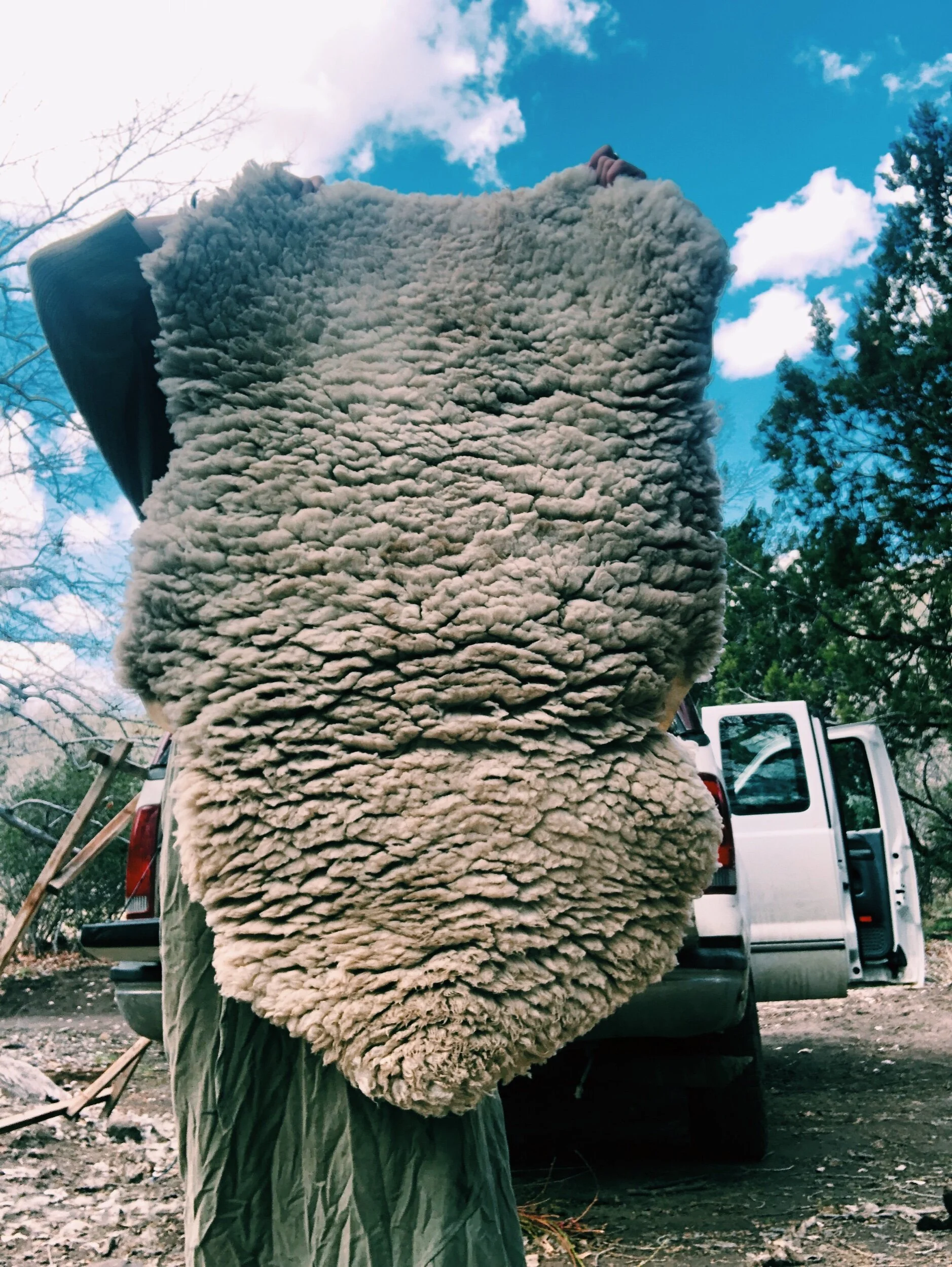 8947467A-27D8-4EDC-AF8E-BA947FCCB491