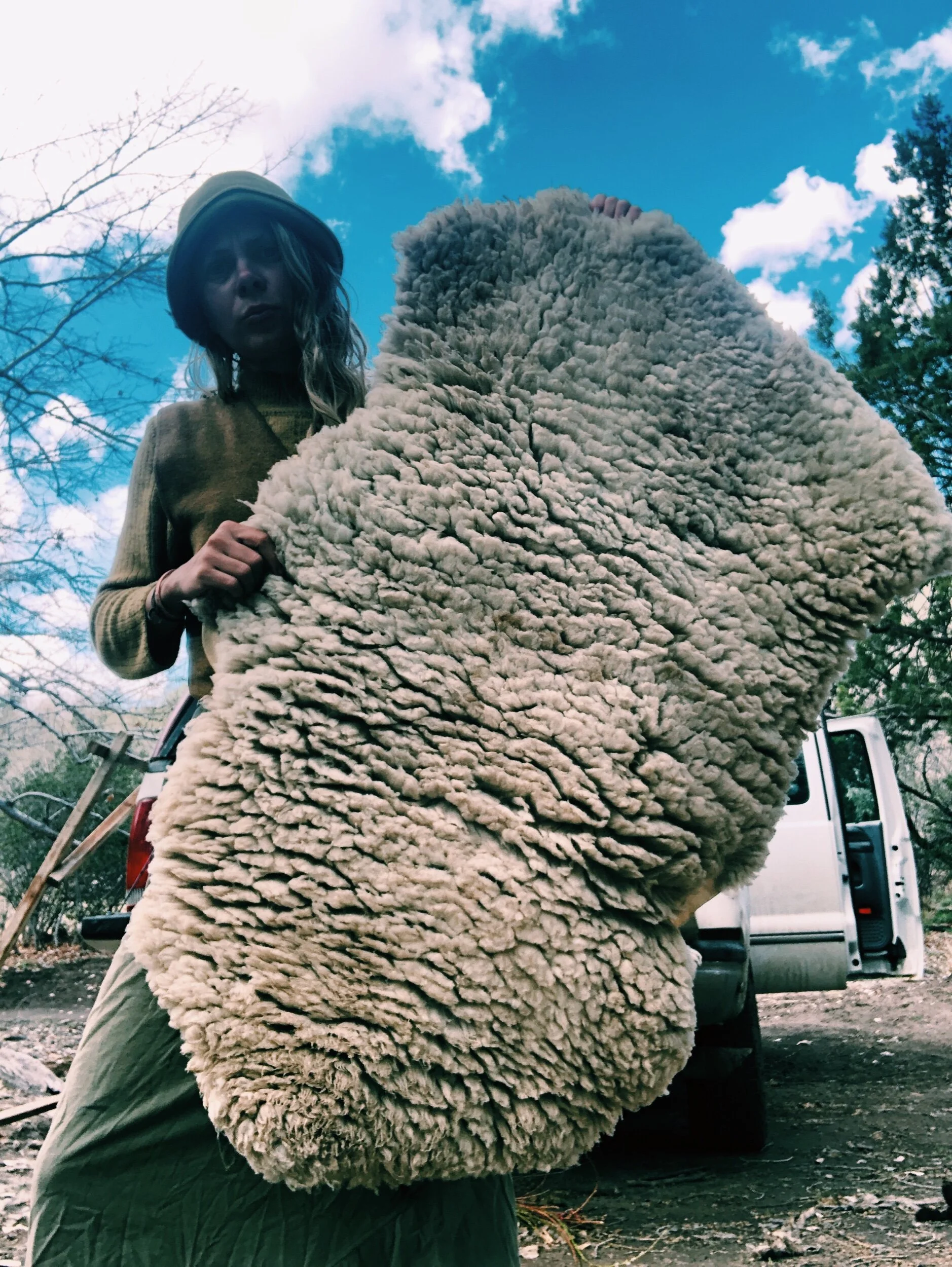 3DB55569-29E7-4F82-8AC1-49CC0F48DC4E