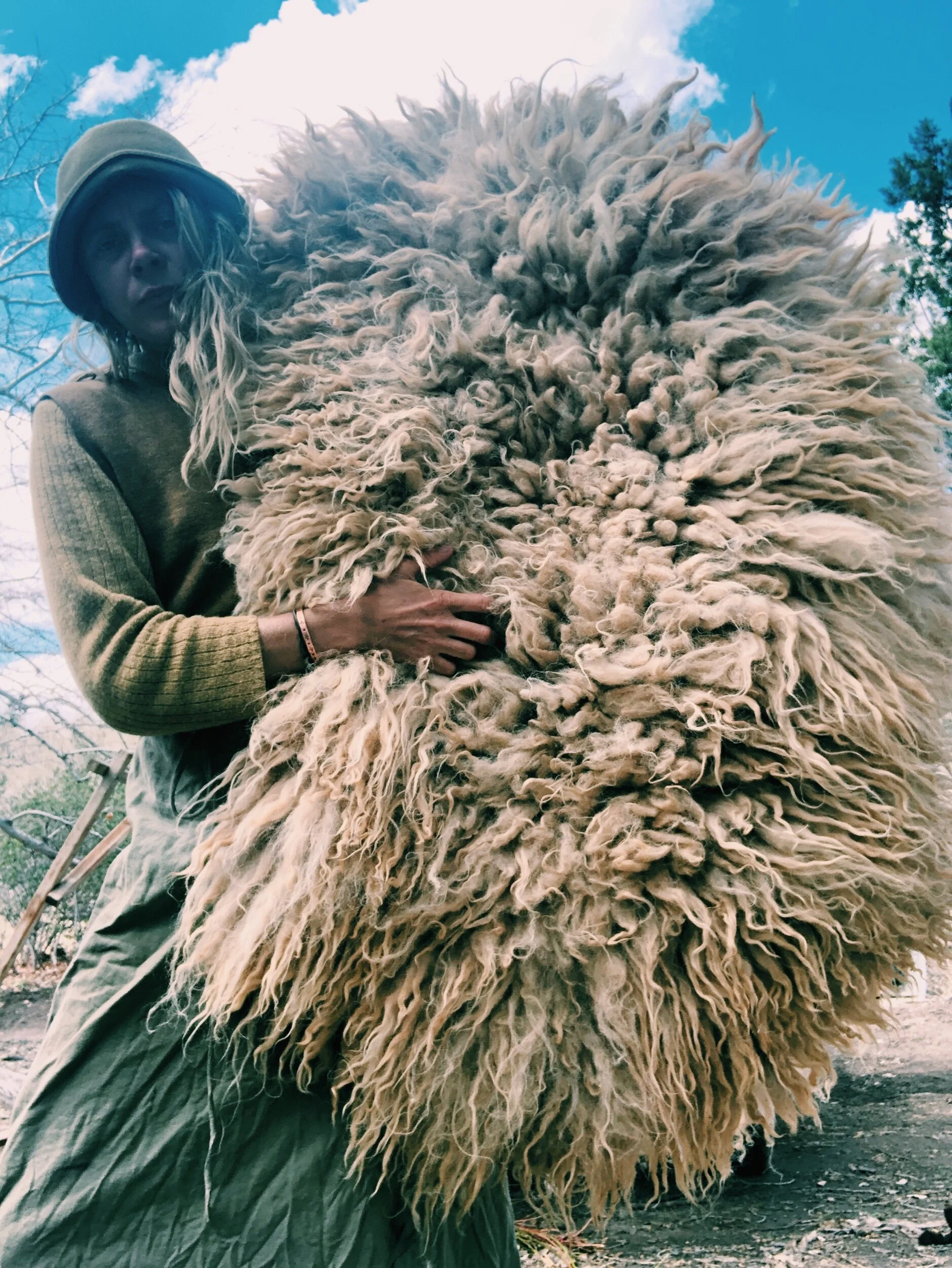 129452AE-1AC2-4726-88DB-3D4DA3E3F413