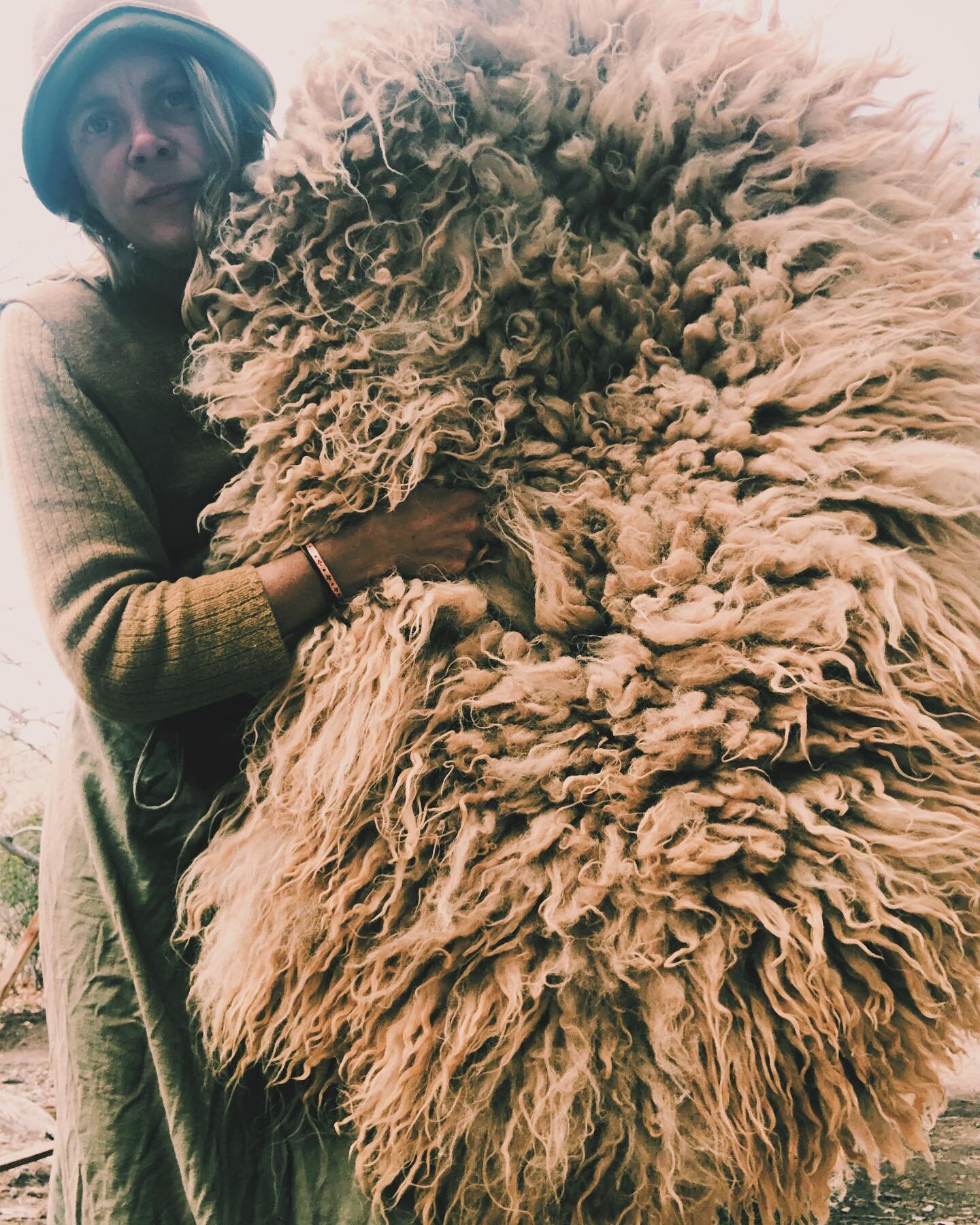 Naturally tanned churro sheepskins for sale.

I&rsquo;ve been tanning hides since 2012, when I did my first braintan deerskin. As a dabbler in all things land based craft, creative pursuits as they intersect ecology and beyond, hide tanning has been 