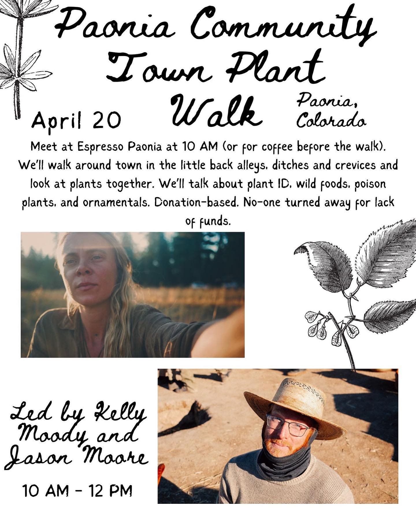 Western Colorado peeps meet me and Jason at @espressopaeonia at 10 on Saturday for a plant walk, donations accepted but not required. We&rsquo;ll jaunt around town in the back alleys and ditches and look at plants and see who&rsquo;s up and why and h