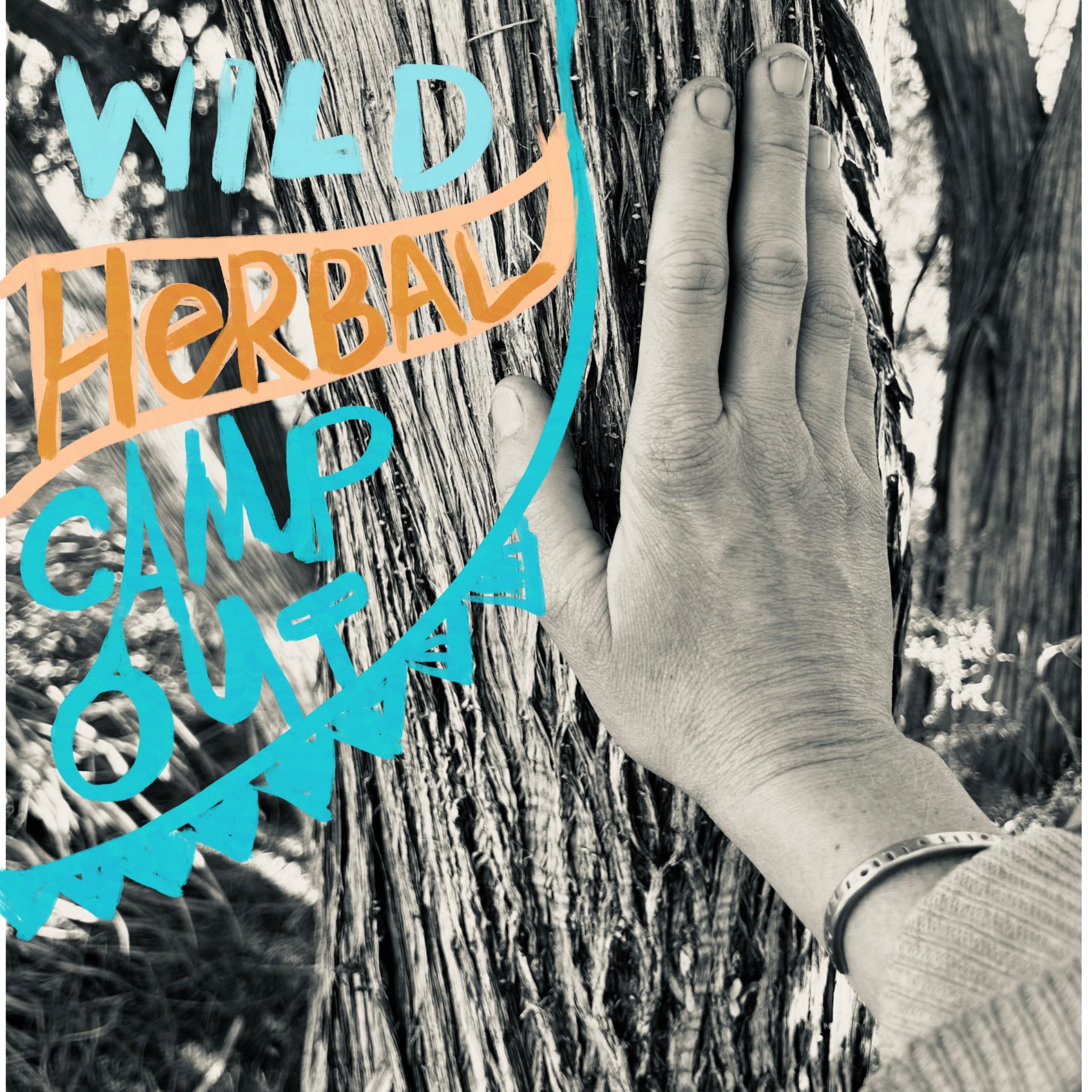 Untitled_Artwork 1.jpg