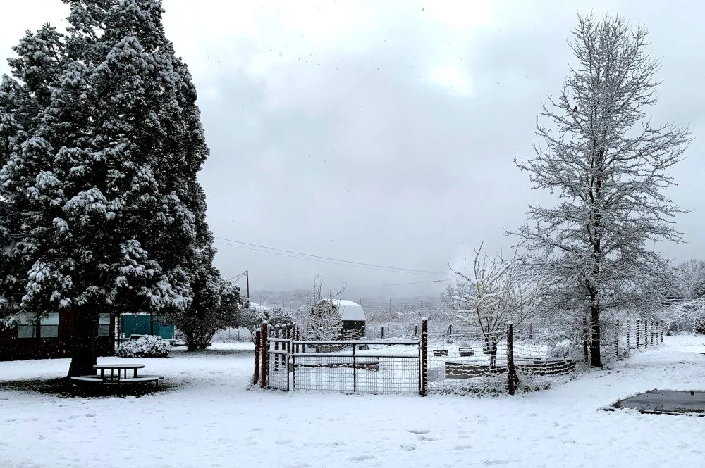 campus-snow2022sm.jpg