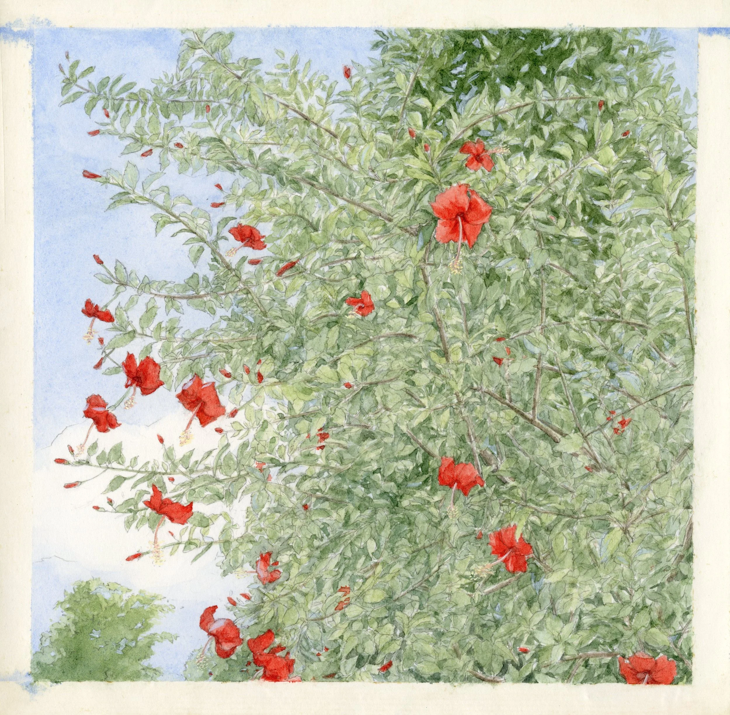Five Years: Botanic Records