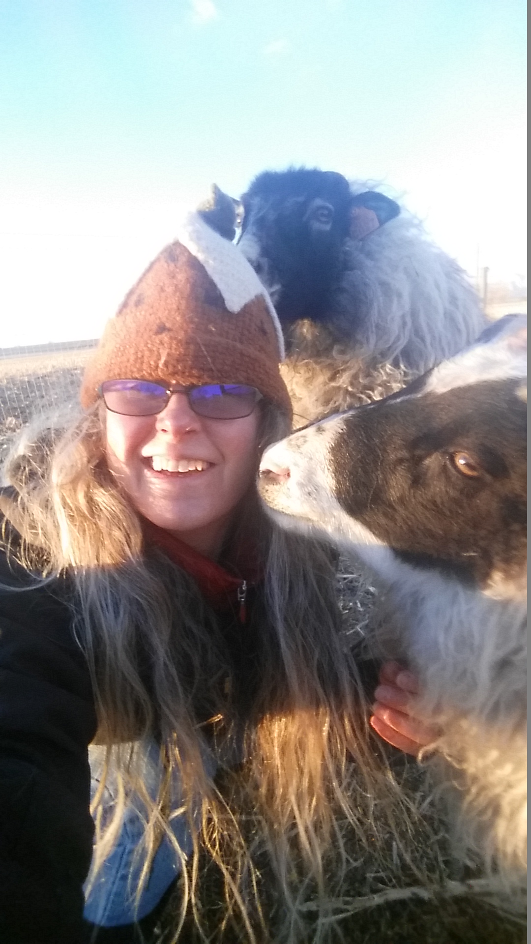 A few extra minutes in the morning is a rarity 'round these parts so when I found myself with about 25 extra this morning (GASP) I seized the opportunity to hang out with my sheep peeps! Murray and Maggie were the first to greet me - surprise, surprise. After playing on the pile of hay bales I sat down to give them some rub downs. I think this may be the second selfie I've ever taken - not too shabby I'd say! 
