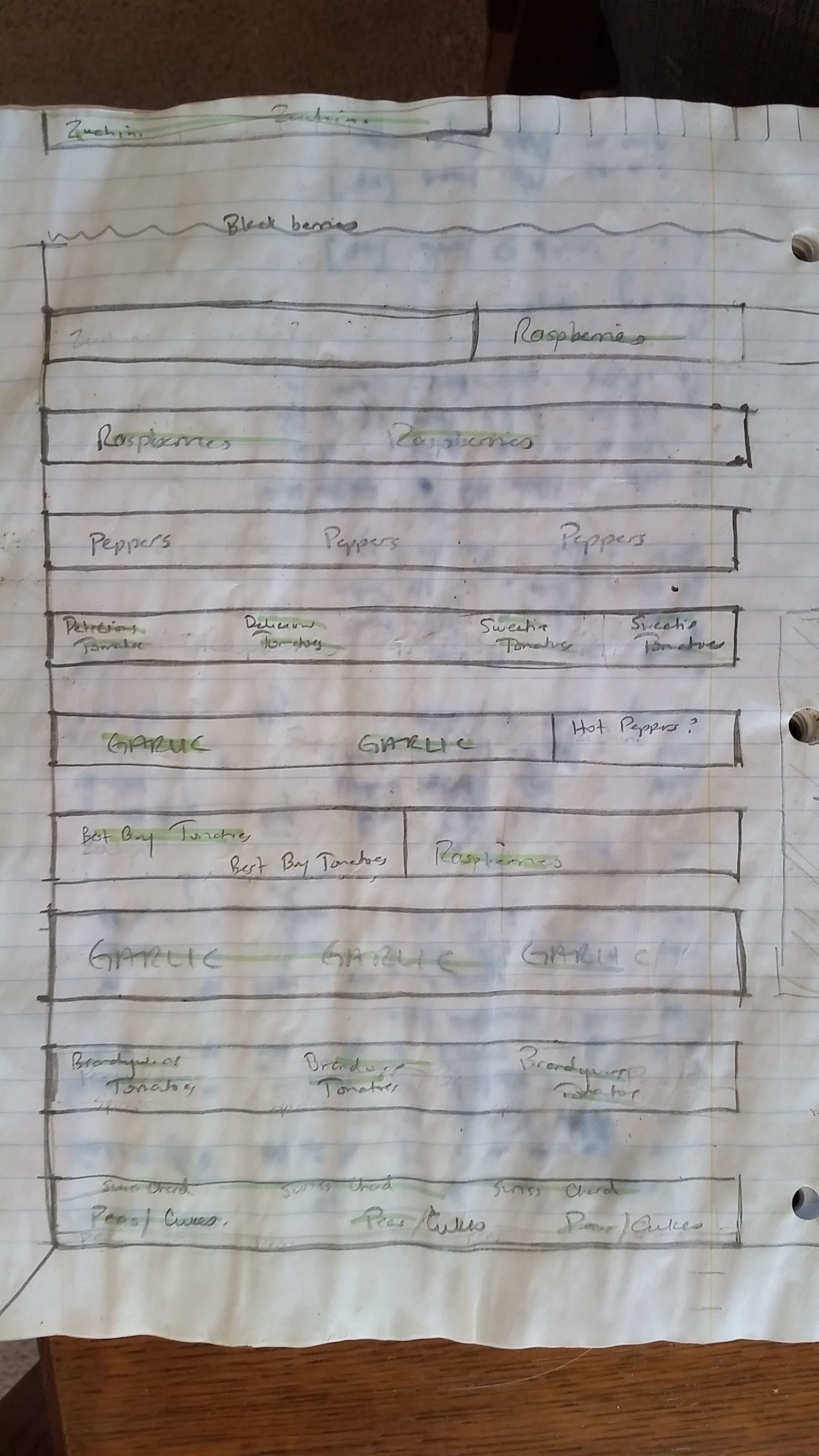 2016 North Side of the Garden - each line = 2 feet