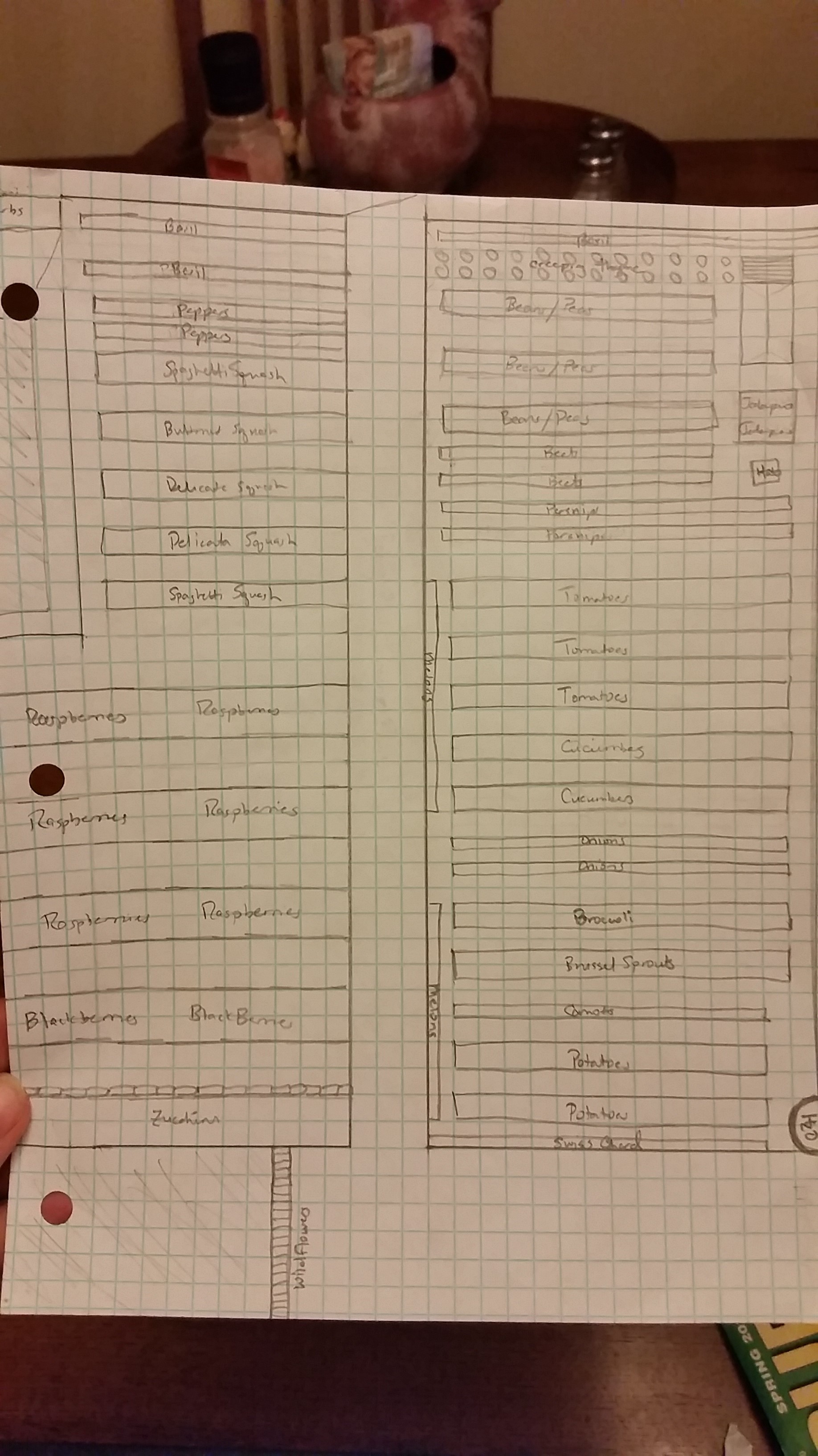 2017 Garden Plan - Version 1. 1 square = 4 square feet.