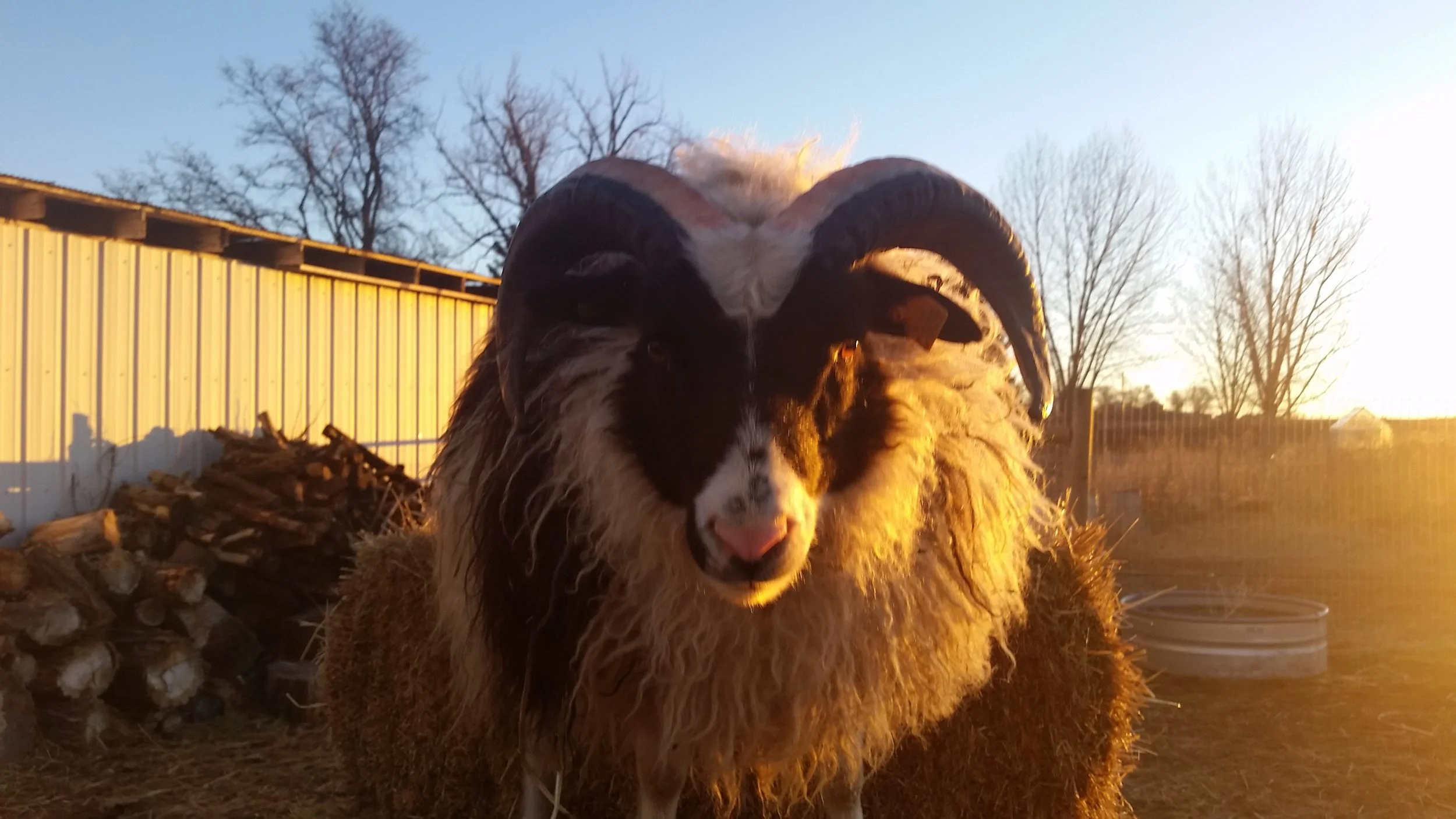 20170110_073240.jpg