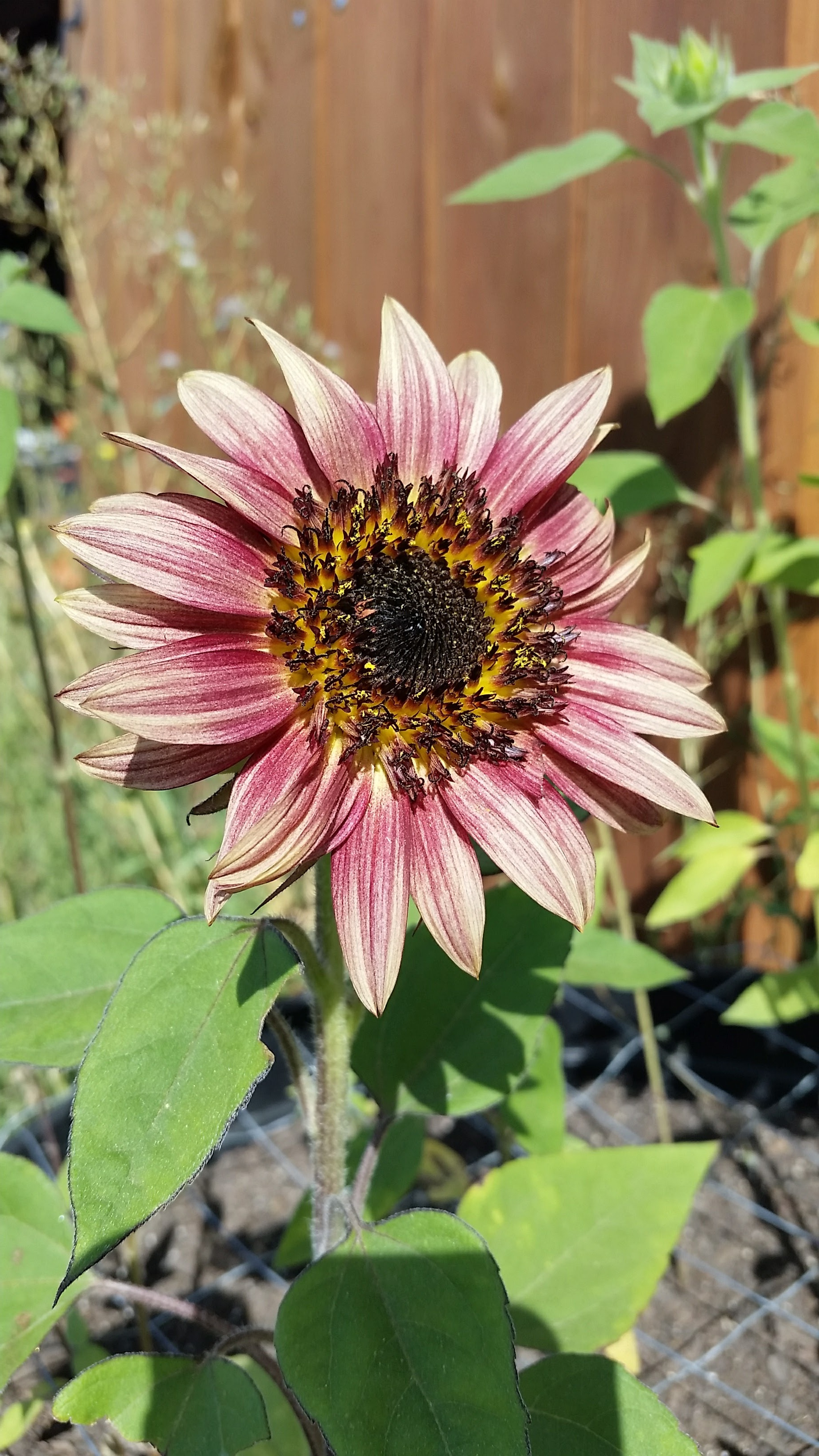 20170827_102038.jpg