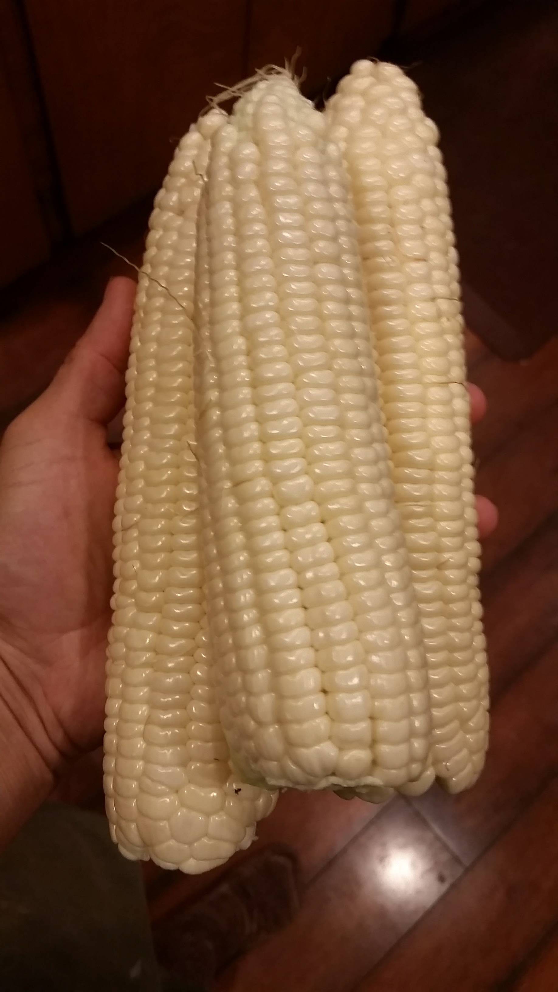 20170907_203236.jpg