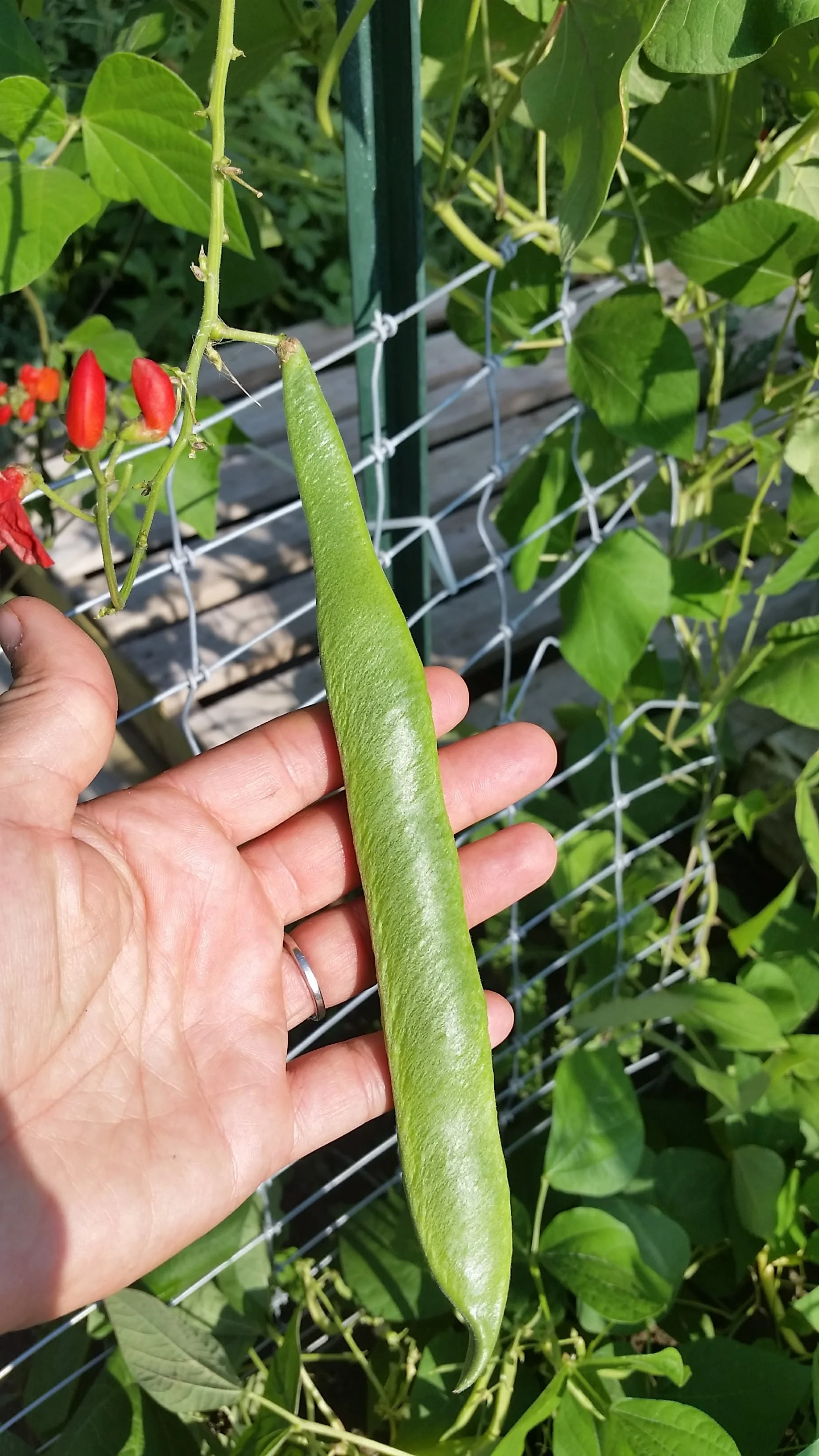 20170811_173023.jpg