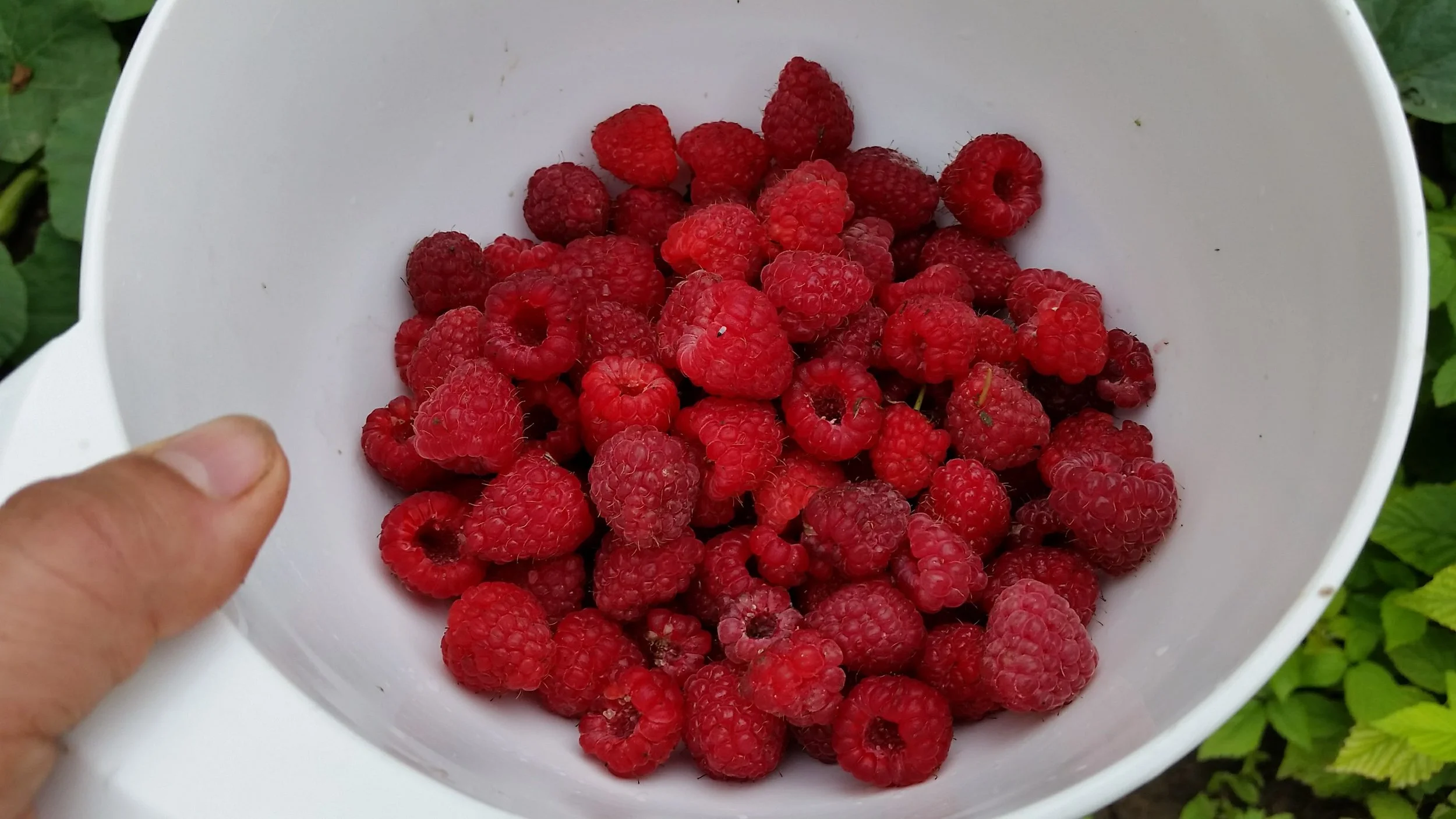 20170806_100817.jpg