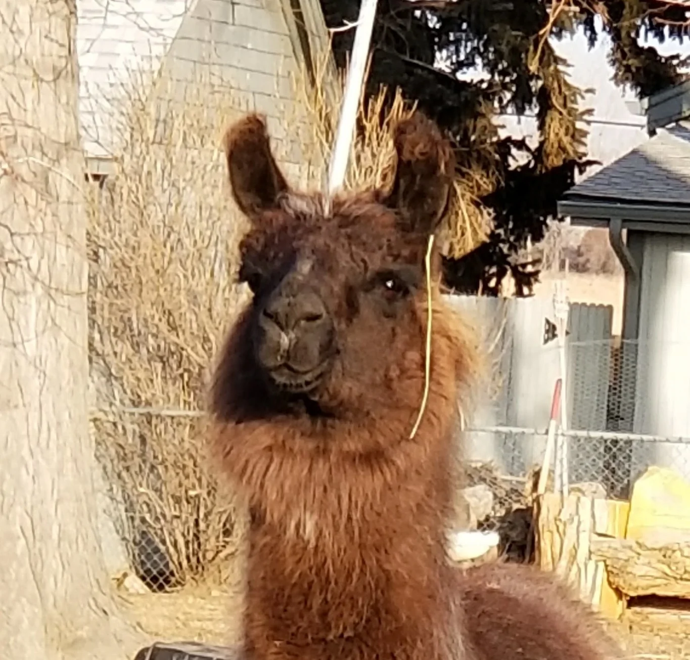20180204_162217.jpg