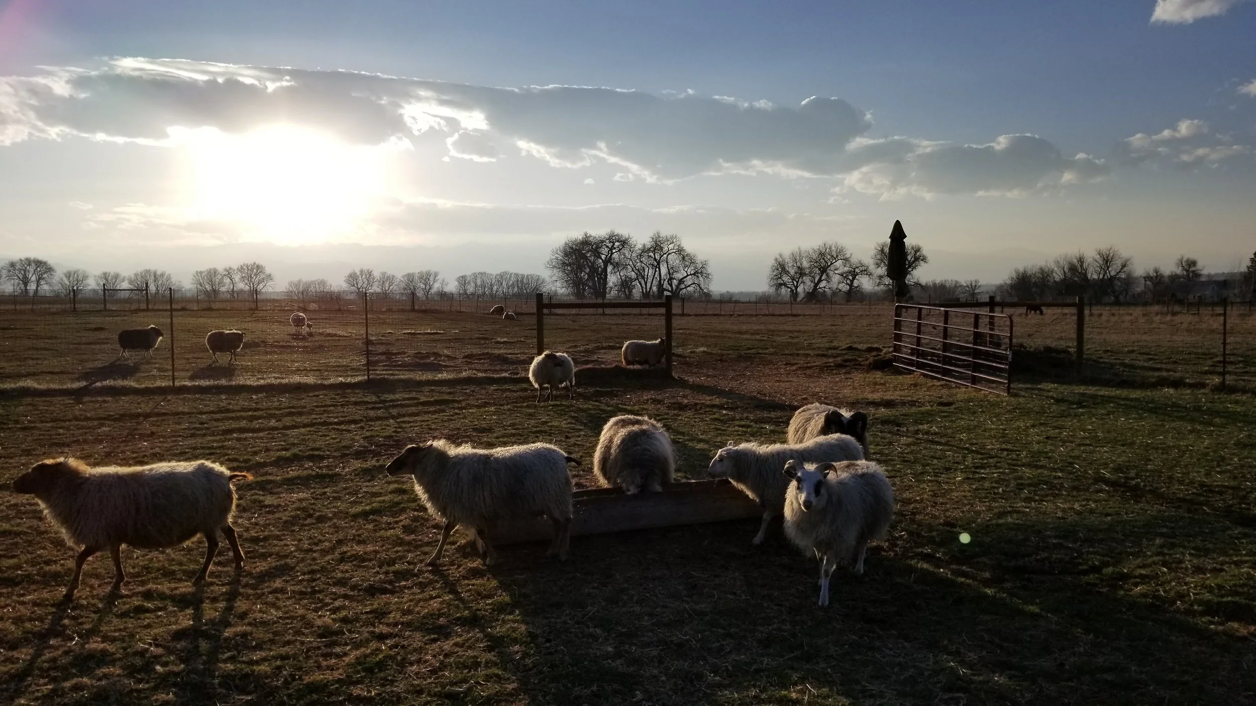 20180401_184345.jpg