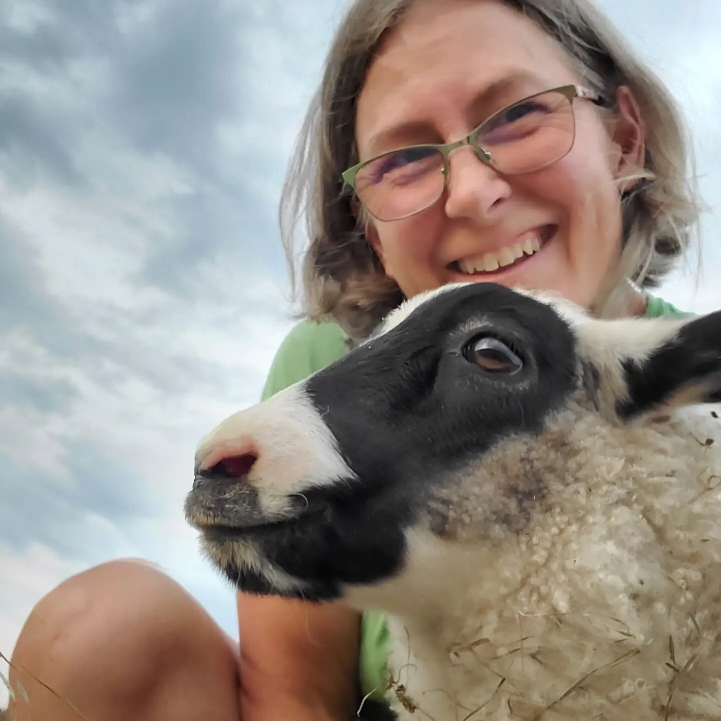 Felicity's ram lamb 😊💪
.
.
#lamb #sheep #icelandicsheep #boulder #boulderco #bouldercounty #lafayatte #lafayetteco #lafayattecolorado #louisville #louisvilleco #louisvillecolorado #longmont #longmontco #longmontcolorado #bigashfarm #bigashfarmcolor