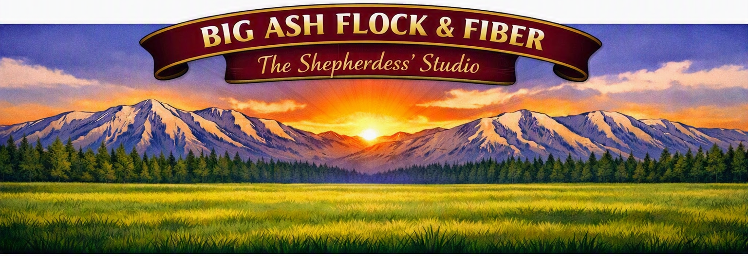 studio-banner-no-sheep.png