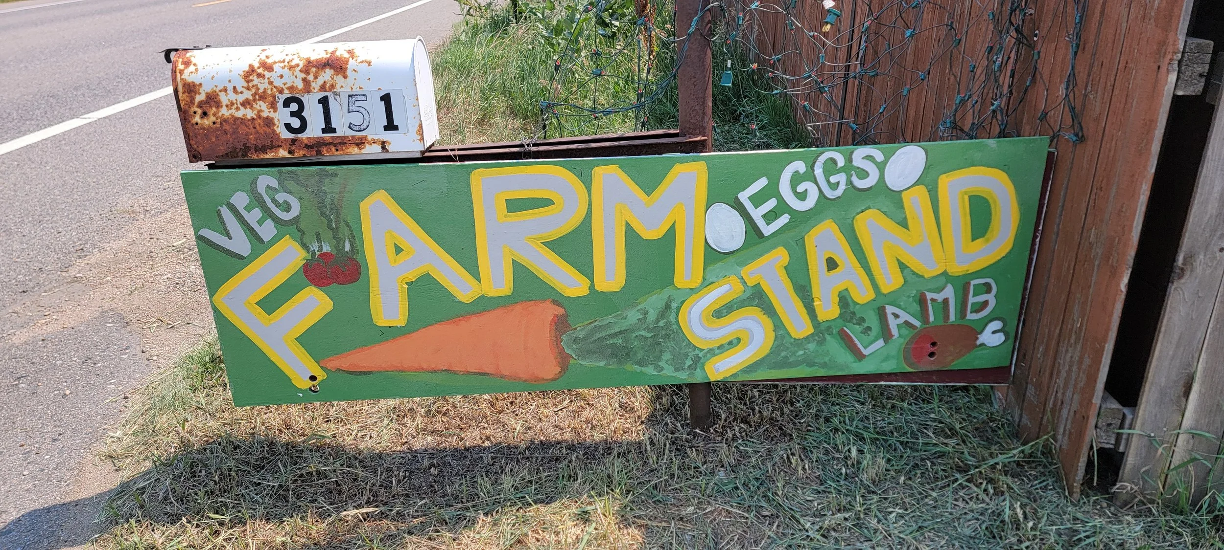 20260701_145530.jpg