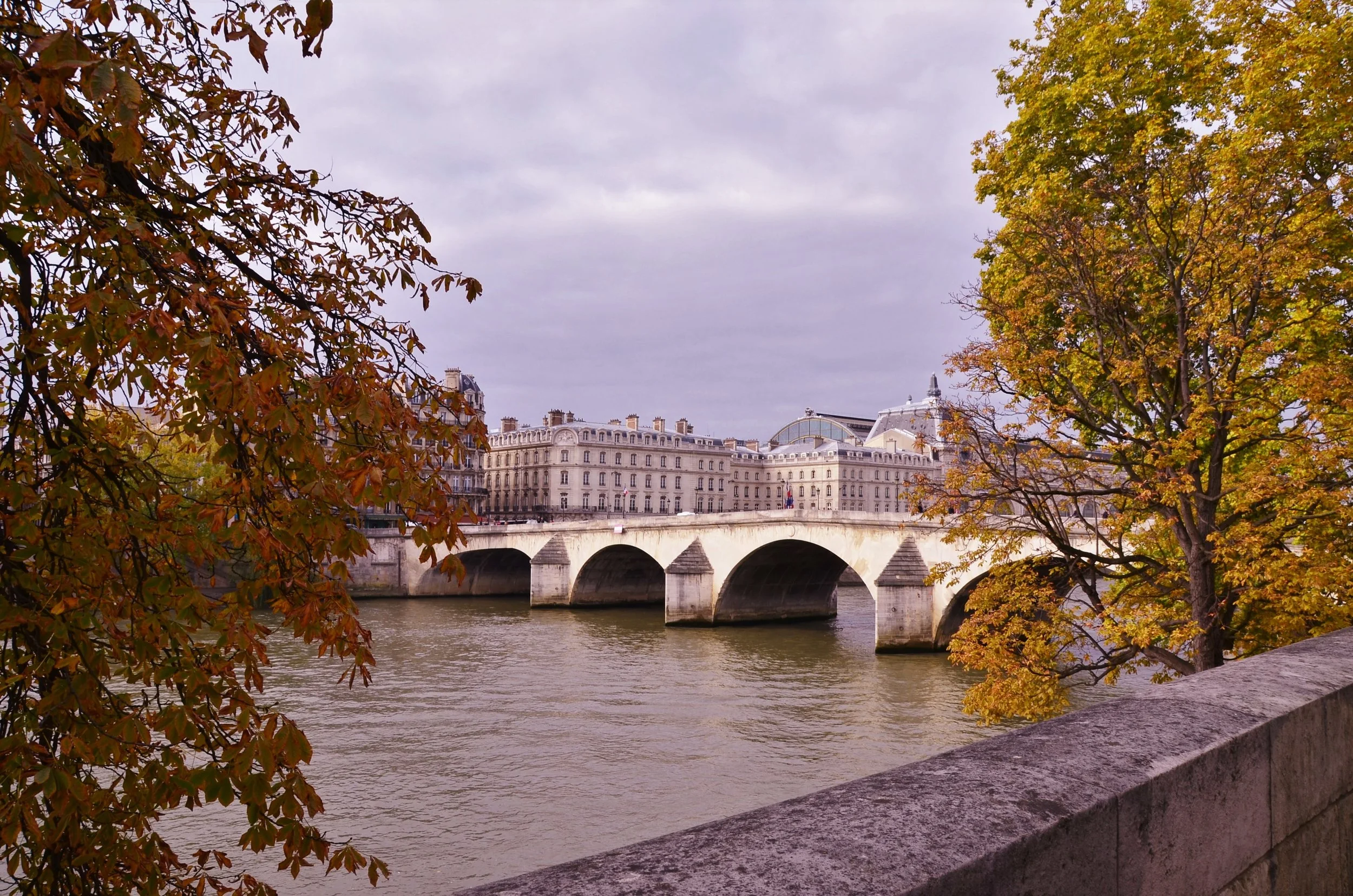 DSC_0465.JPG
