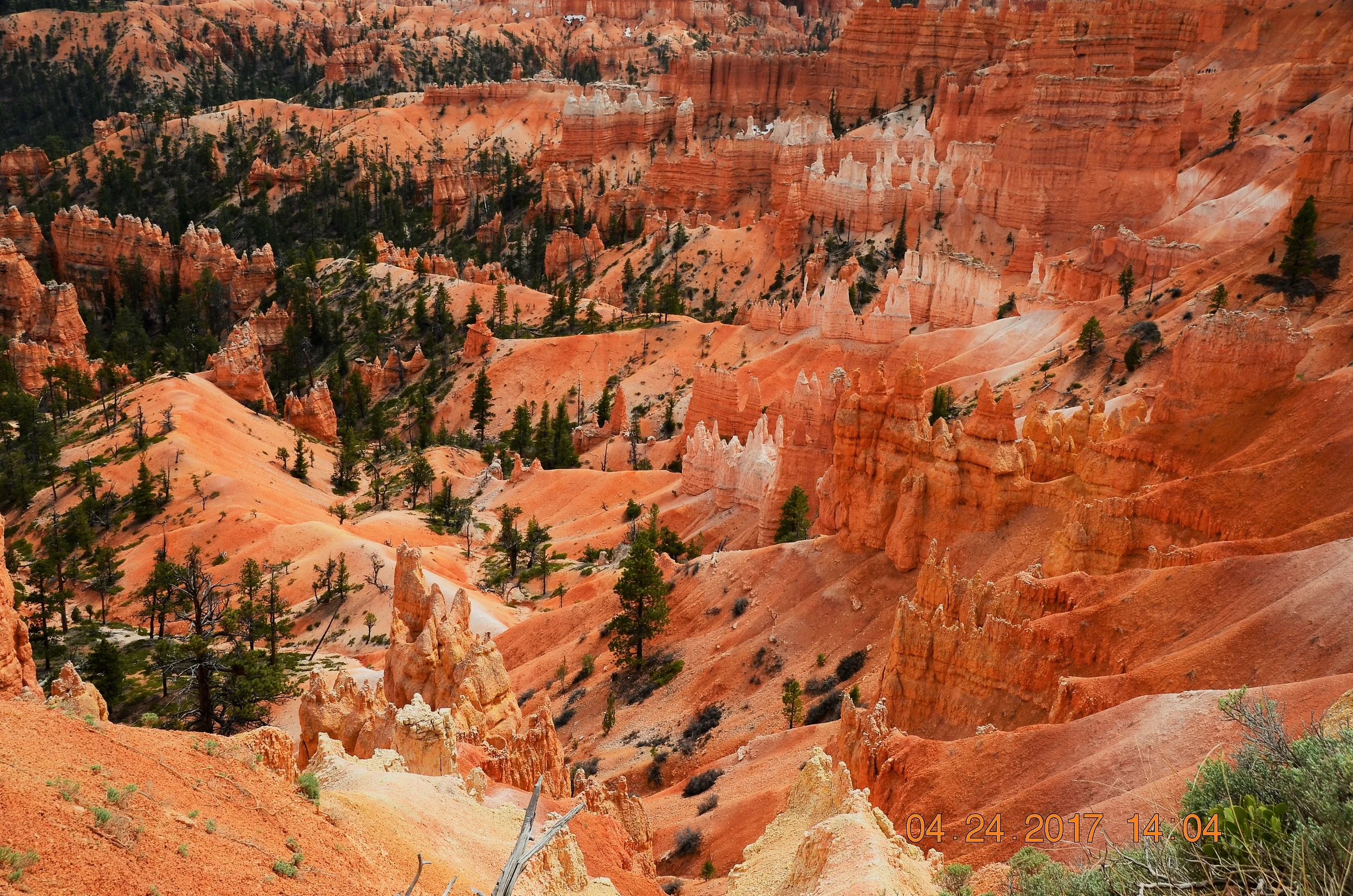 DSC_1491.JPG
