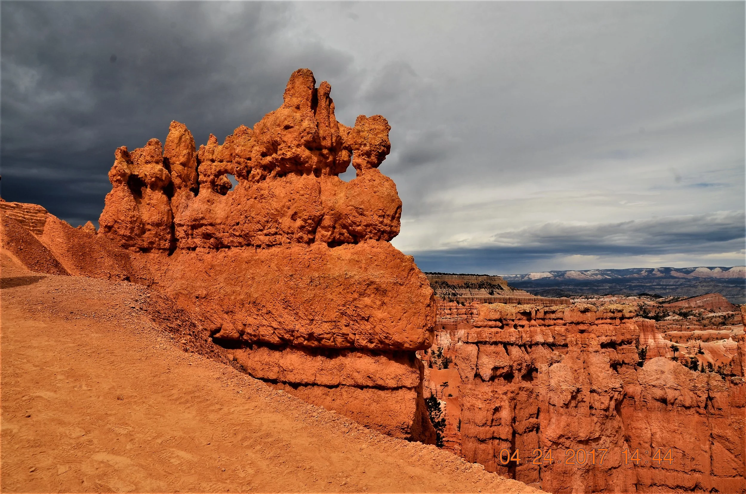 DSC_1507.JPG
