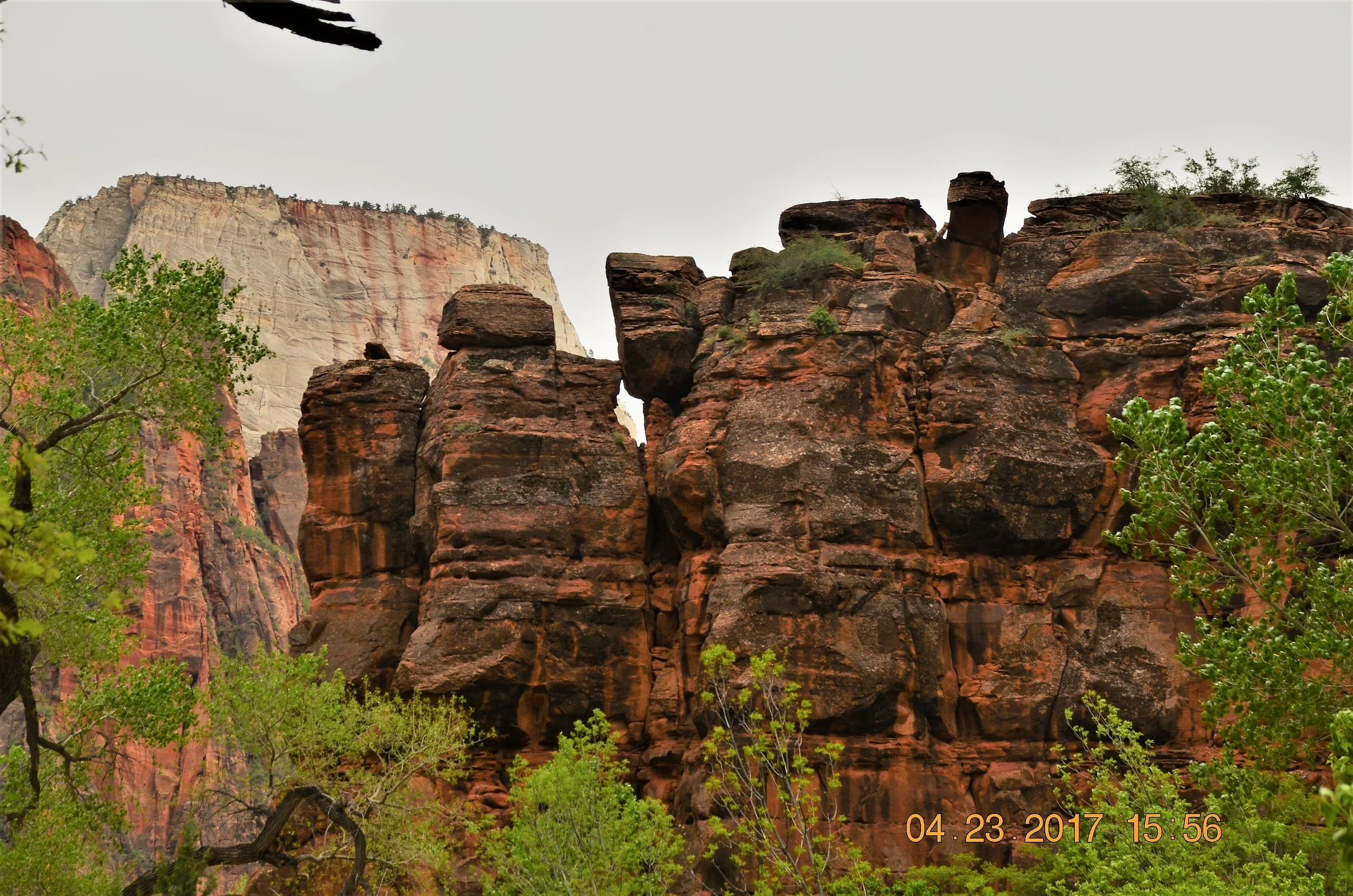 DSC_1470.JPG