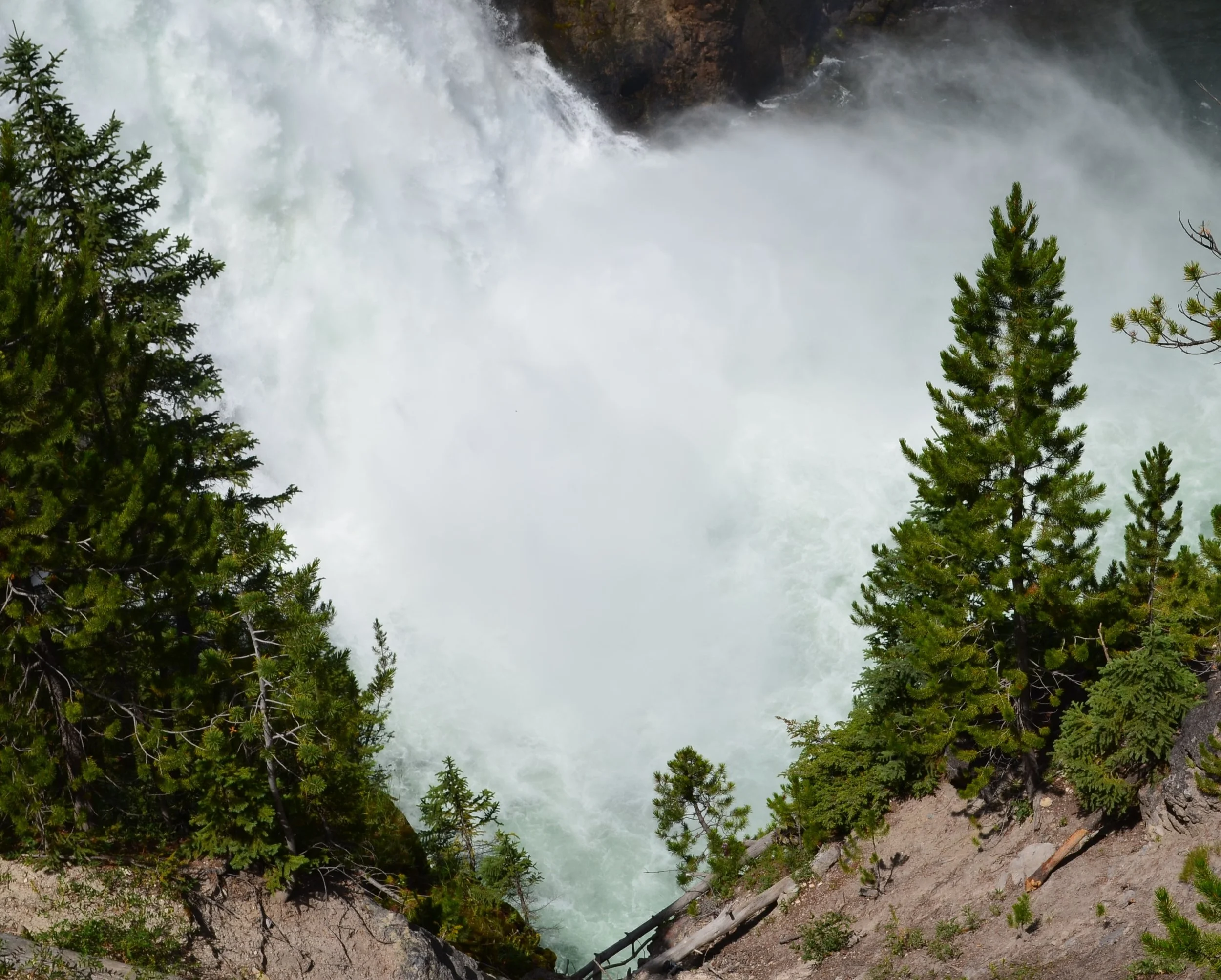 DSC_0204.JPG