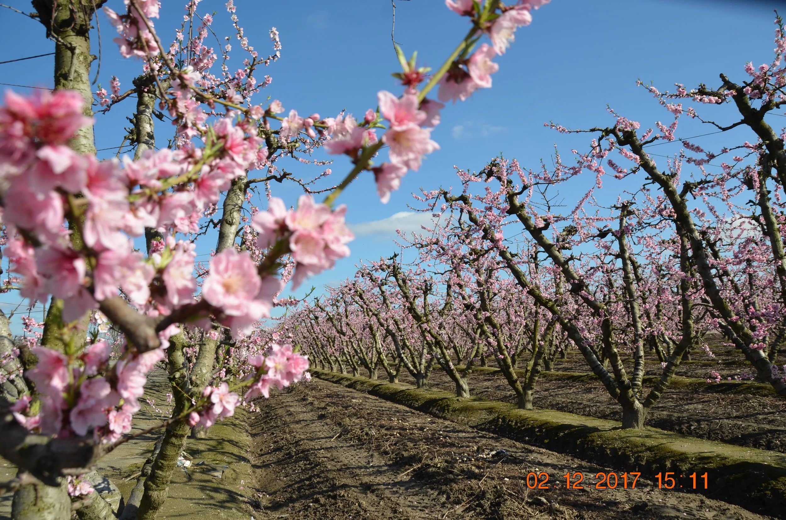 DSC_8872.JPG