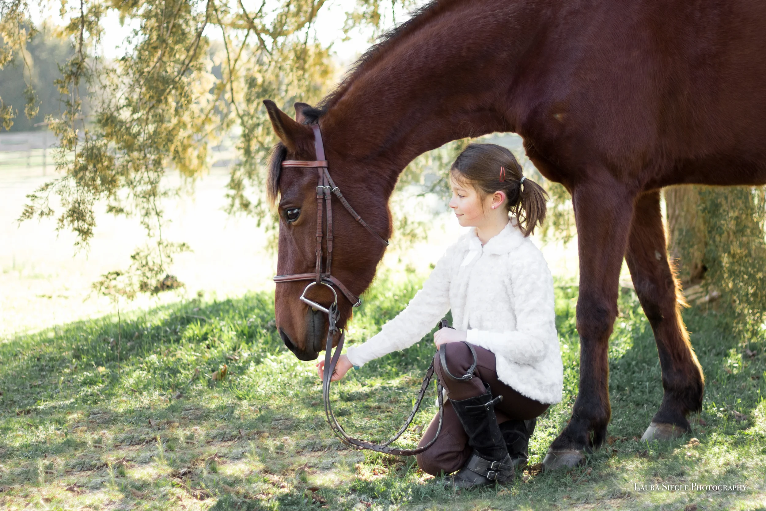 Equine photography amelia virginia photographer horse portrait session