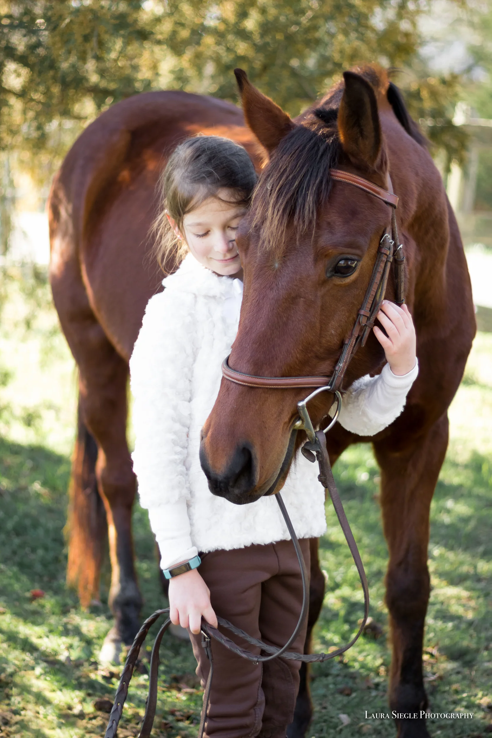 Equine photography amelia virginia photographer horse portrait session