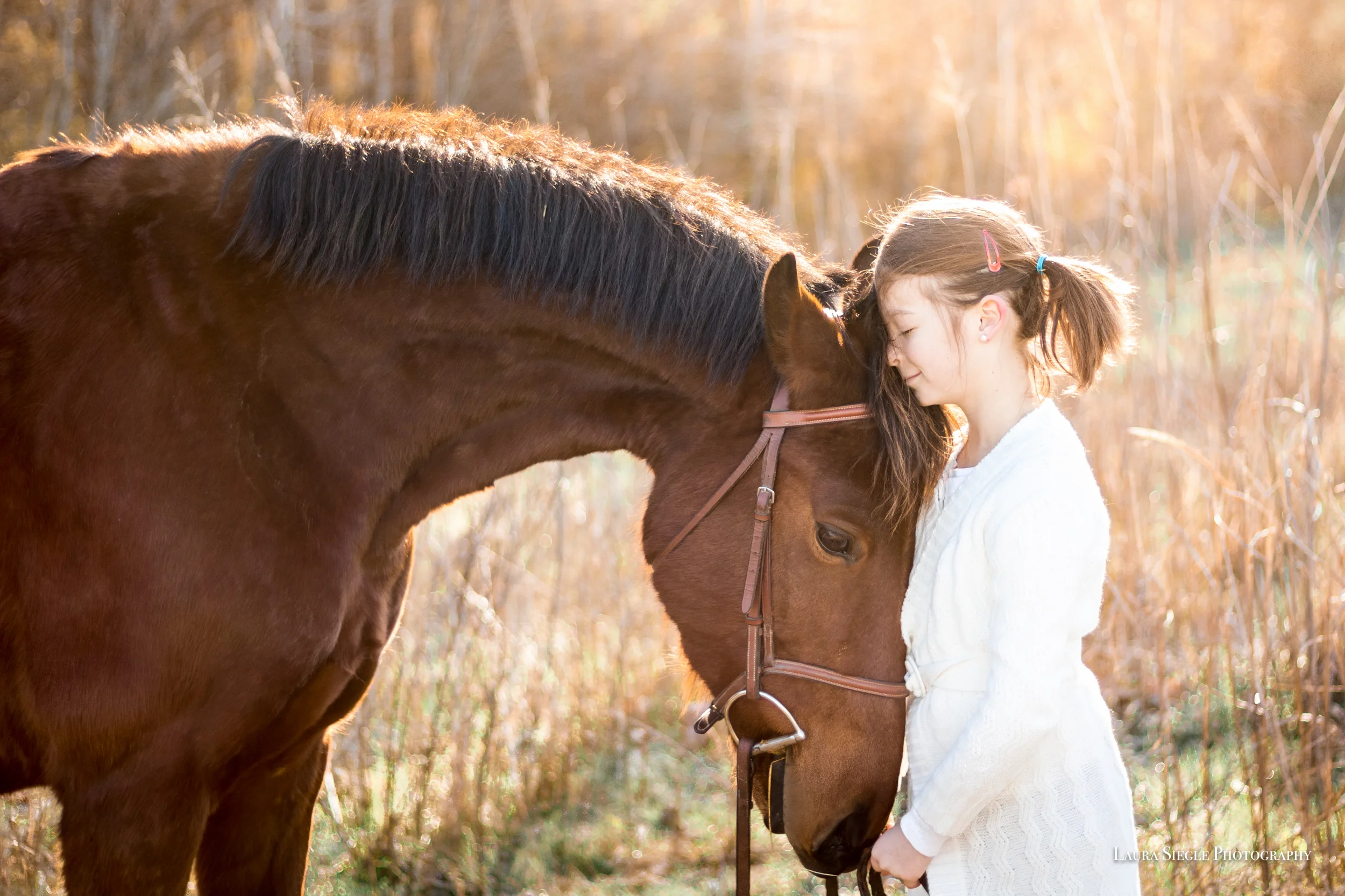 Amelia Richmond Virginia Equine Photographer Horse Photo Session