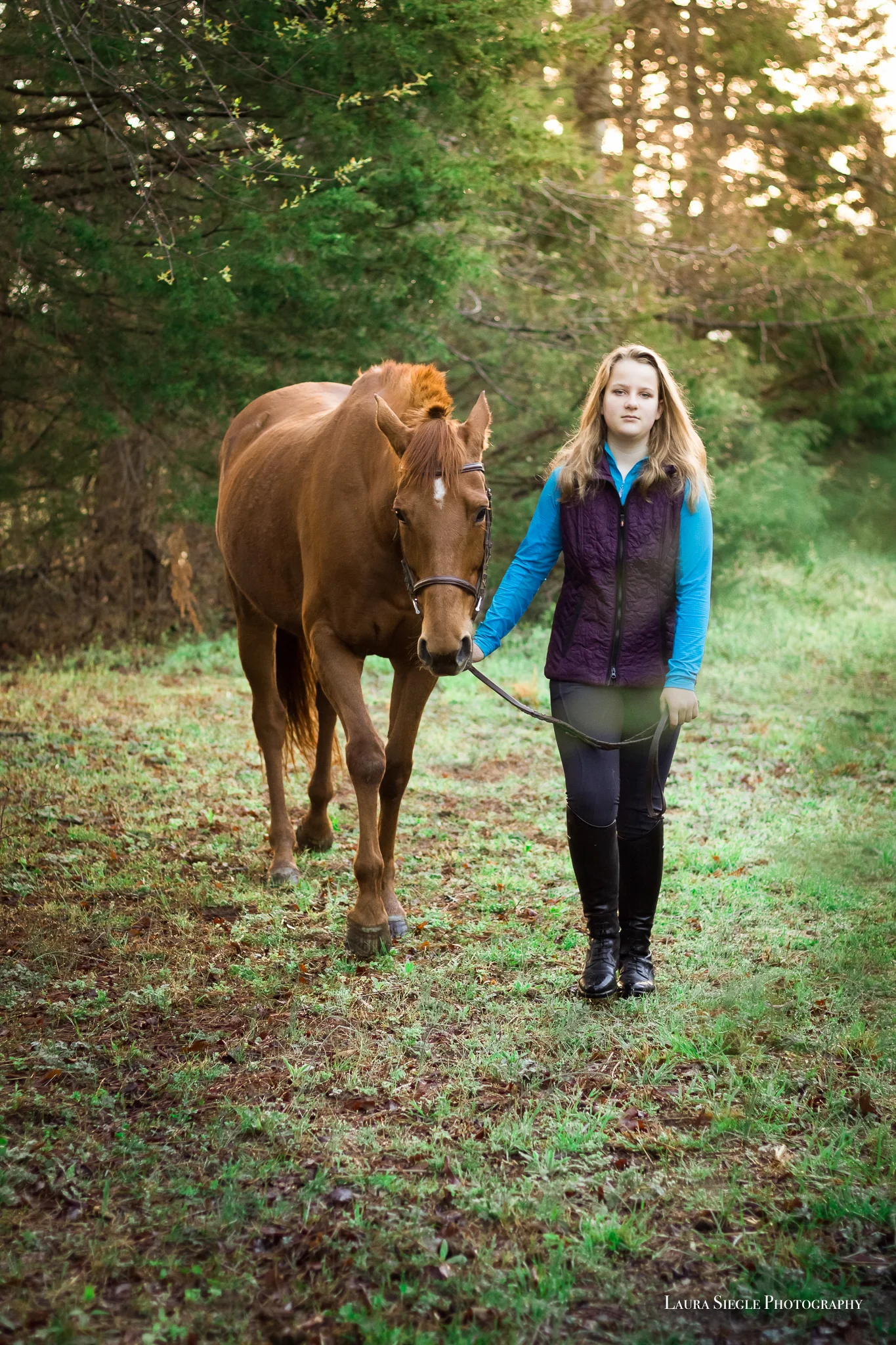 Amelia Virginia Equine Portrait Photography