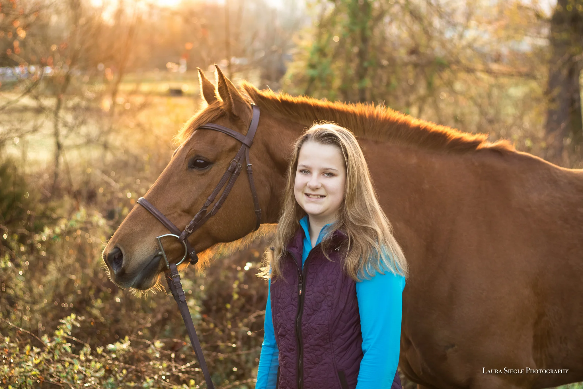 Amelia Virginia Equine Portrait Photography