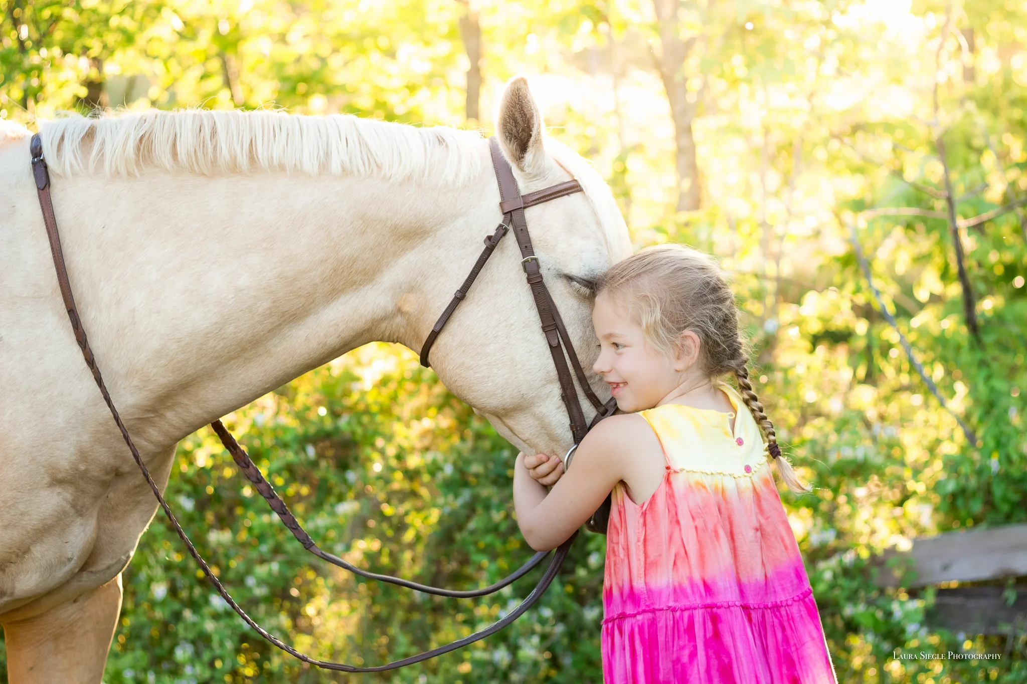 Virginia Equine Portrait Photographer