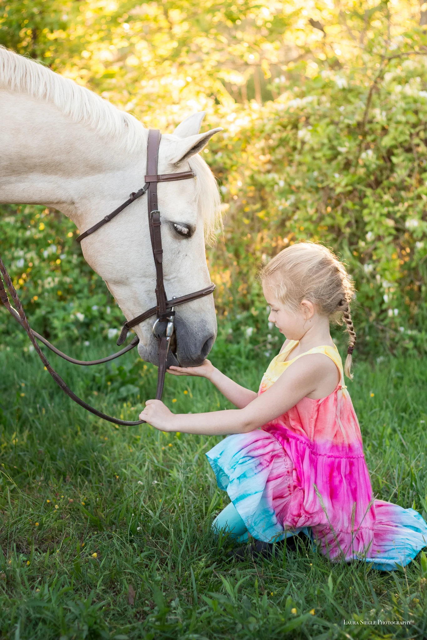 Virginia Equine Portrait Photographer