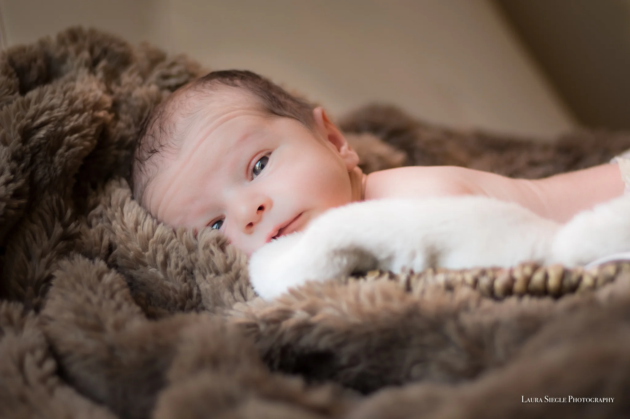 Virginia Family and Newborn Portrait