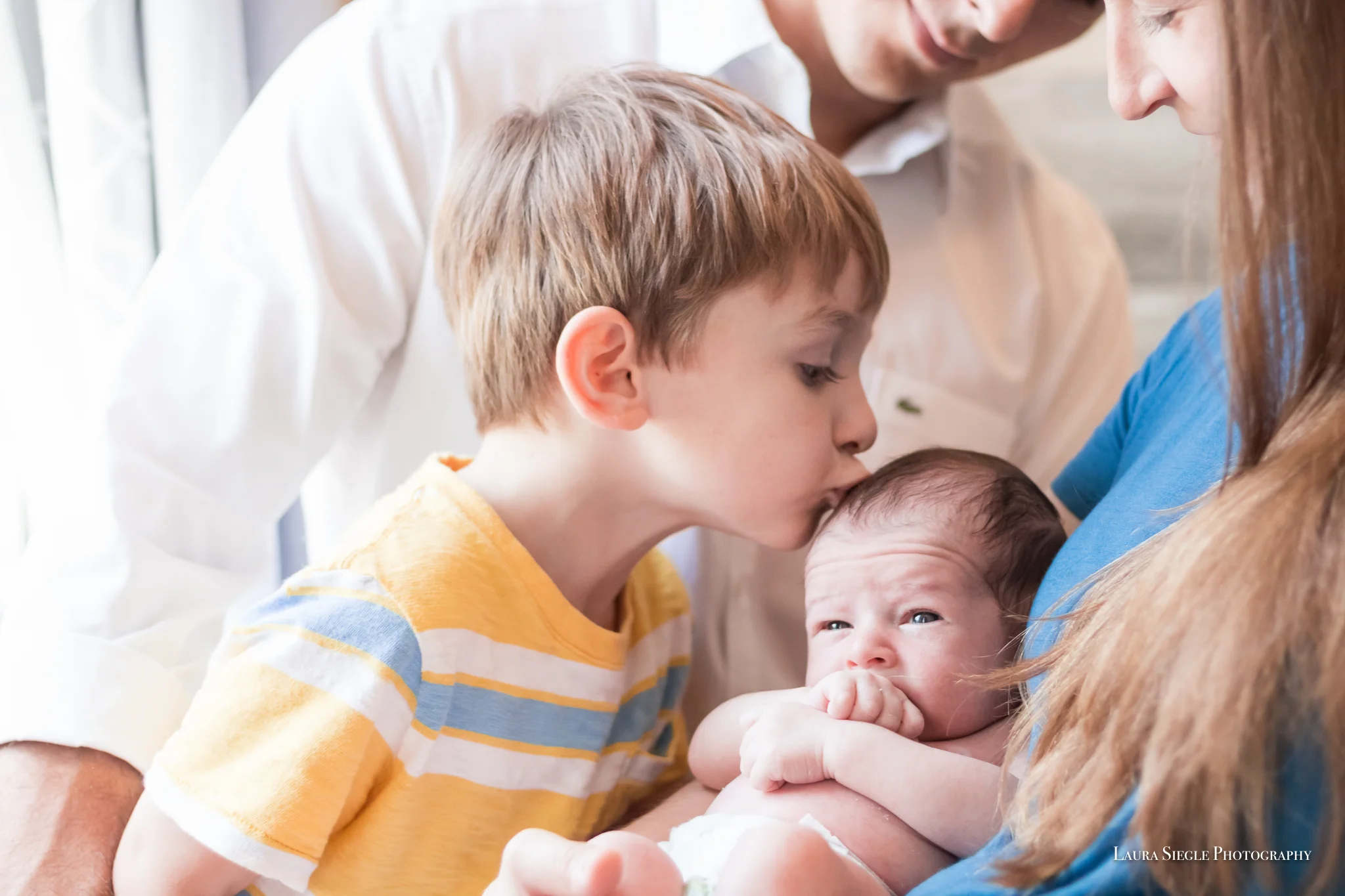 Virginia Family and Newborn Portraits