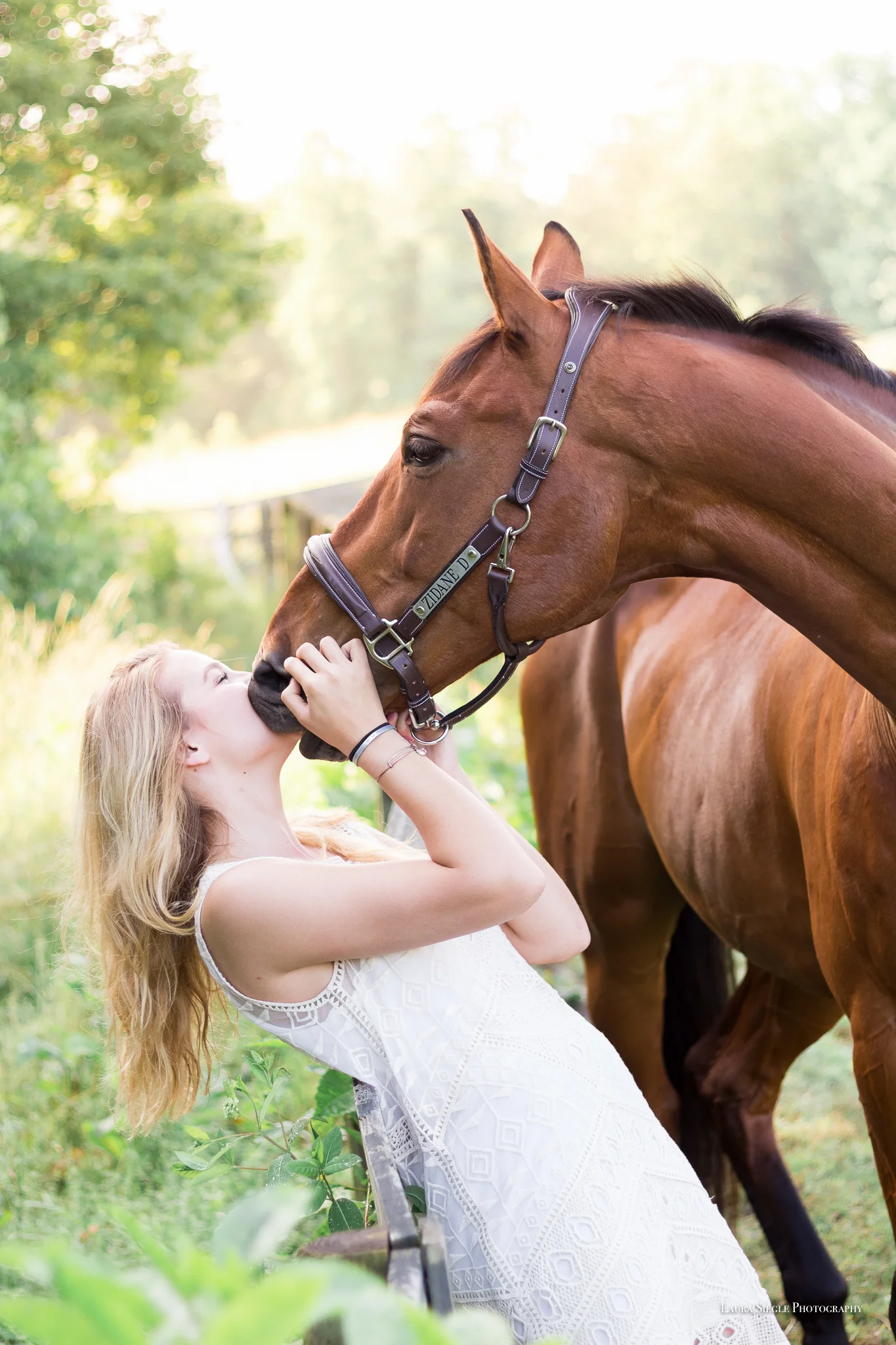 Virginia Equine Portrait Photographer
