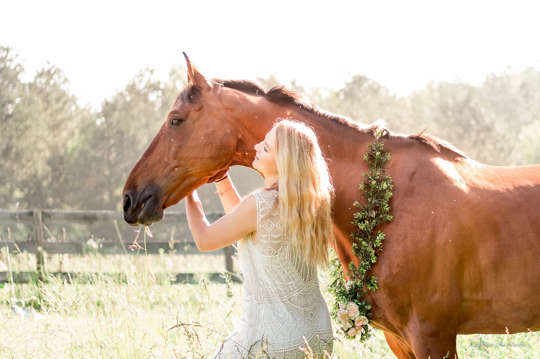 Virginia Equine Portrait Photographer