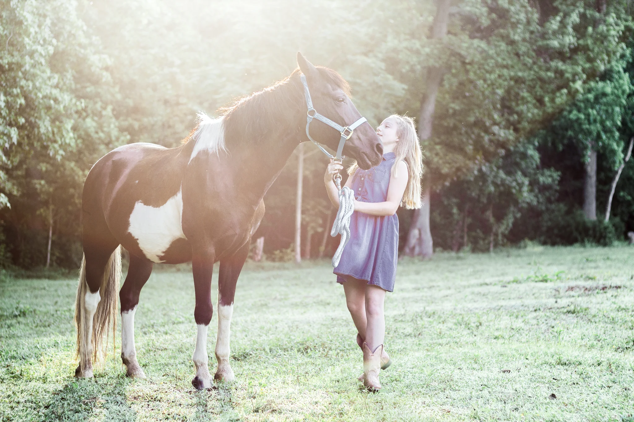 Virginia Equine Portrait Photograph