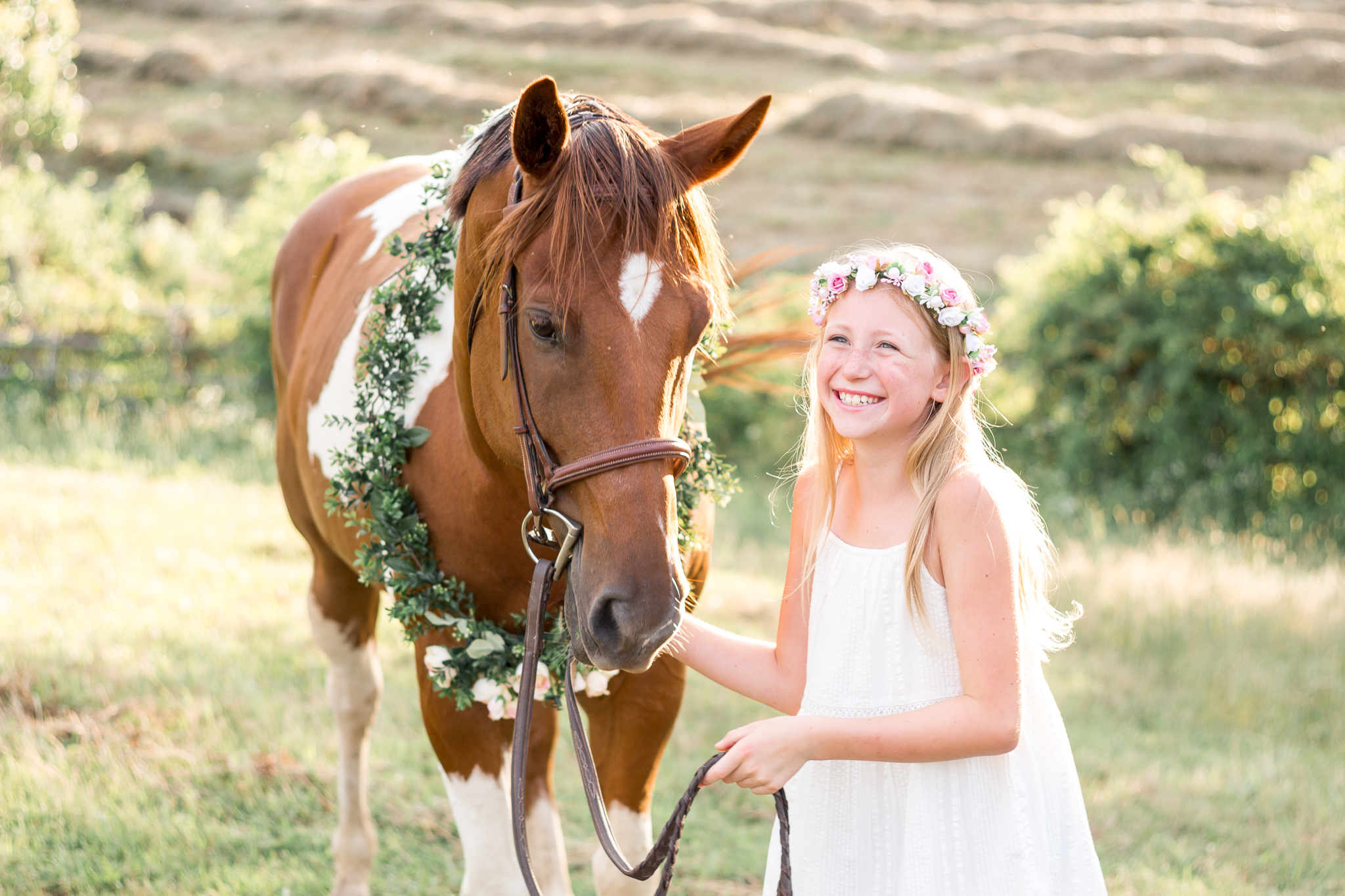 Virginia Equine Portrait Photographer