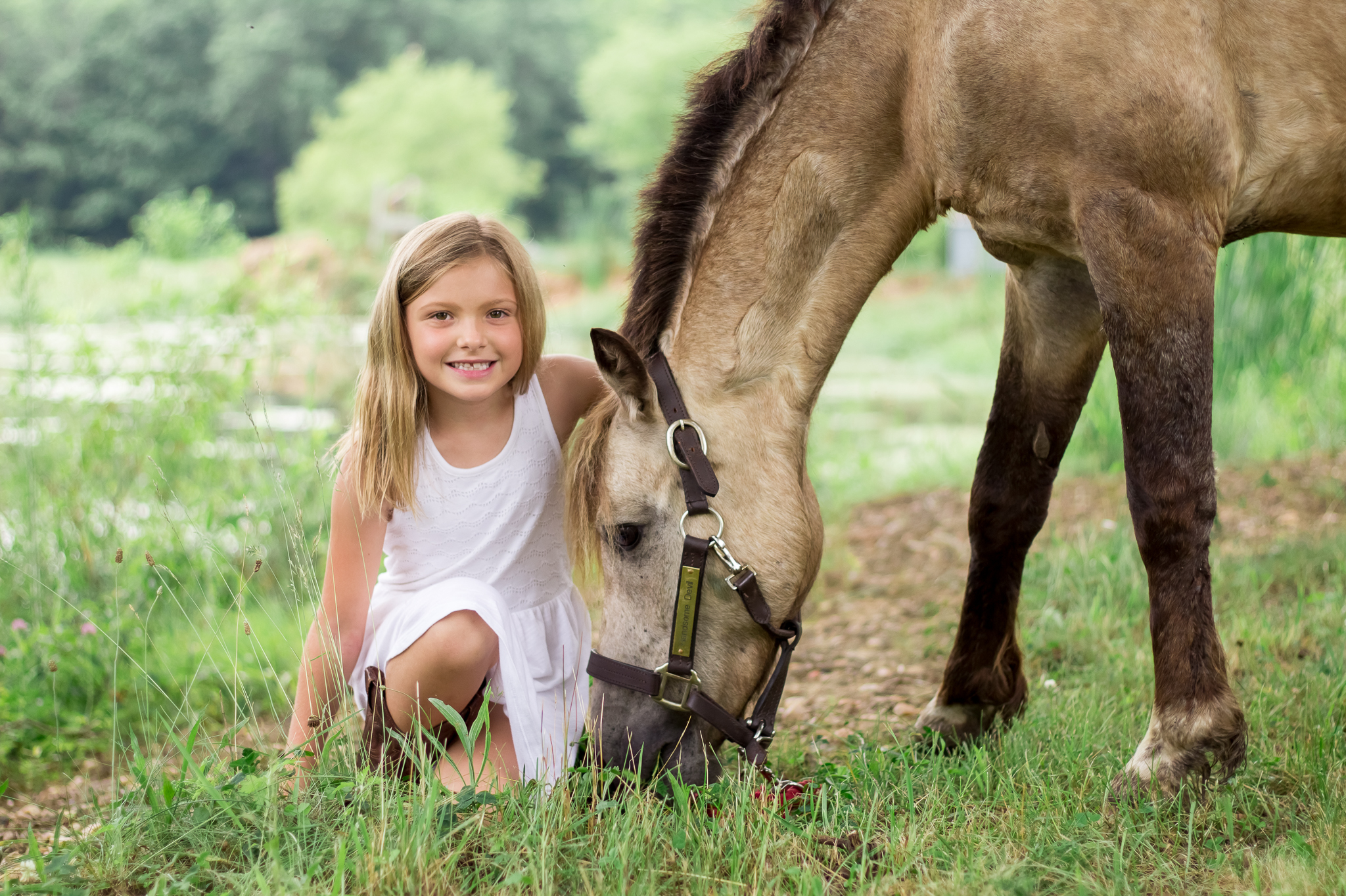 Virginia Equine Portrait Photographer