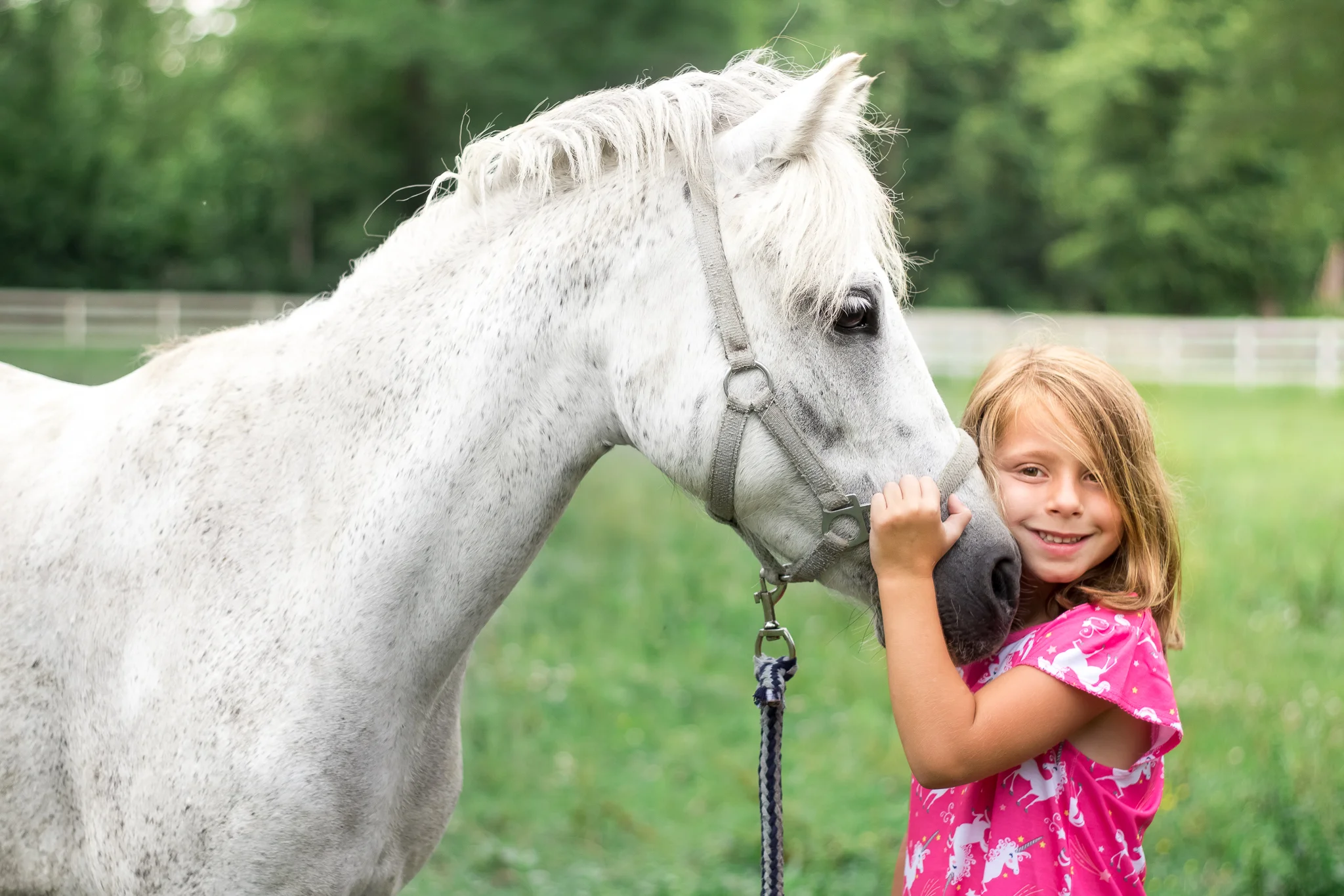 Virginia Equine Portrait Photographer