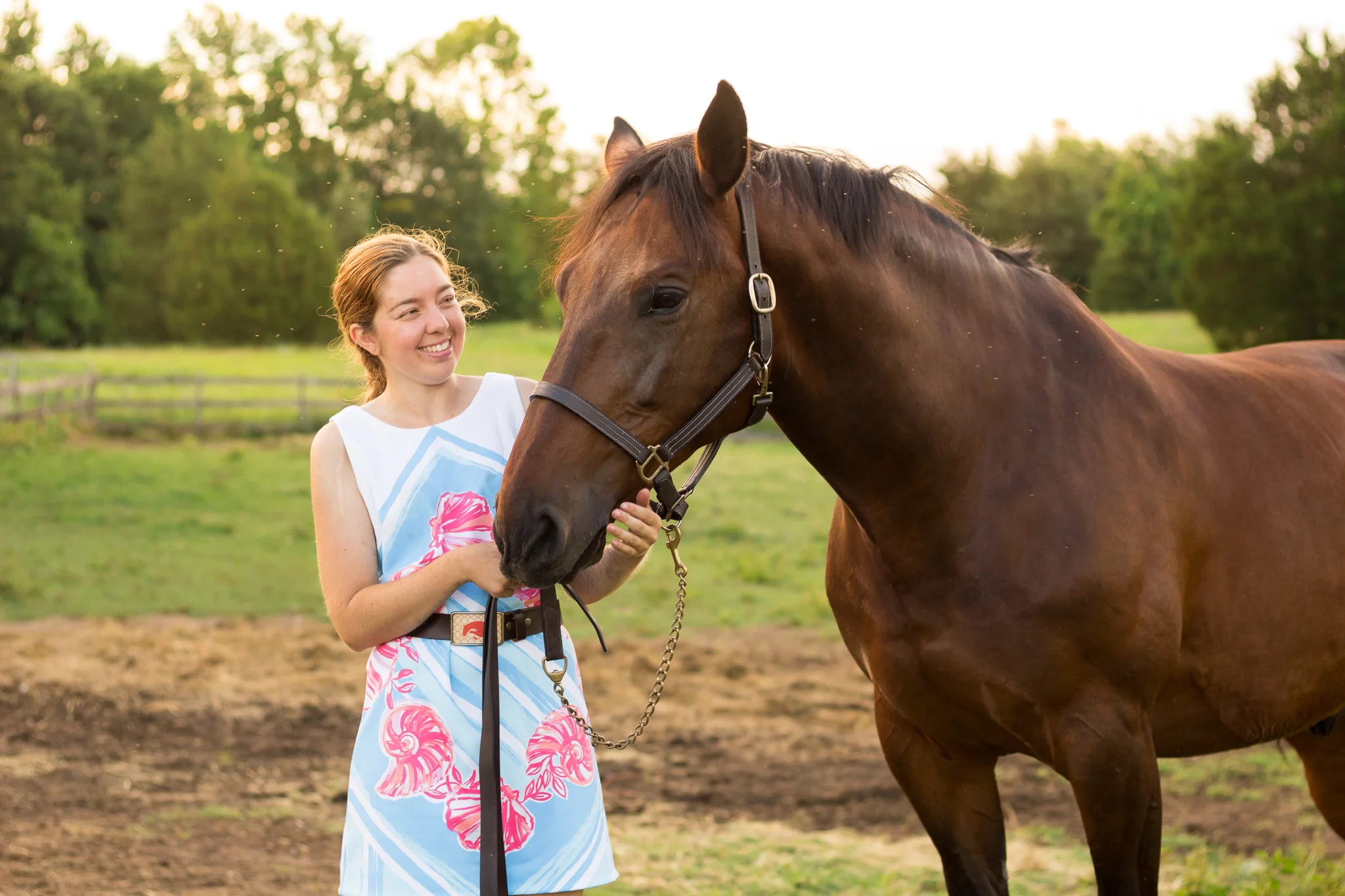 Virginia Equine Portrait Photography