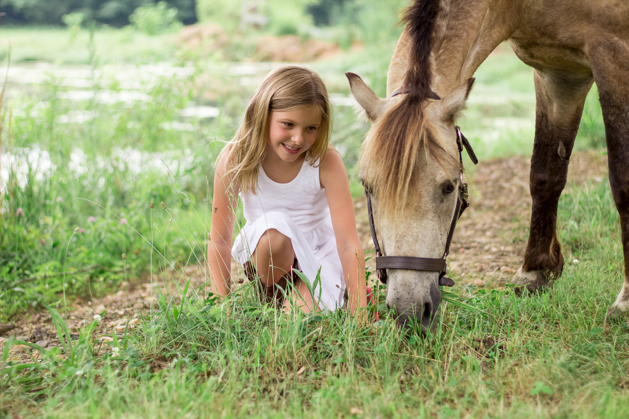 Virginia Equine Portrait Photography