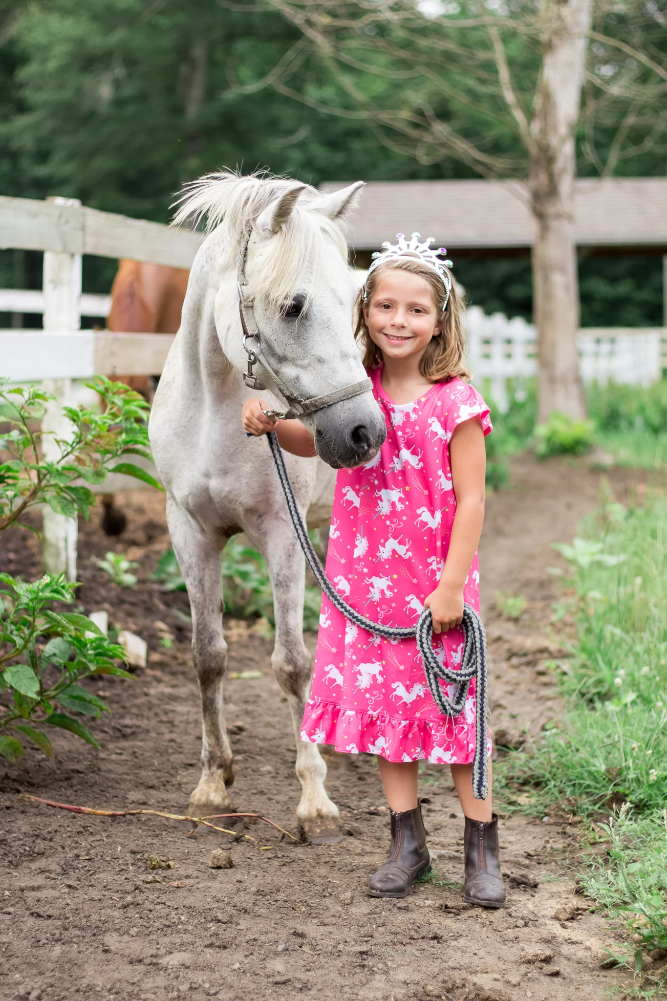 Virginia Equine Portrait Photographer