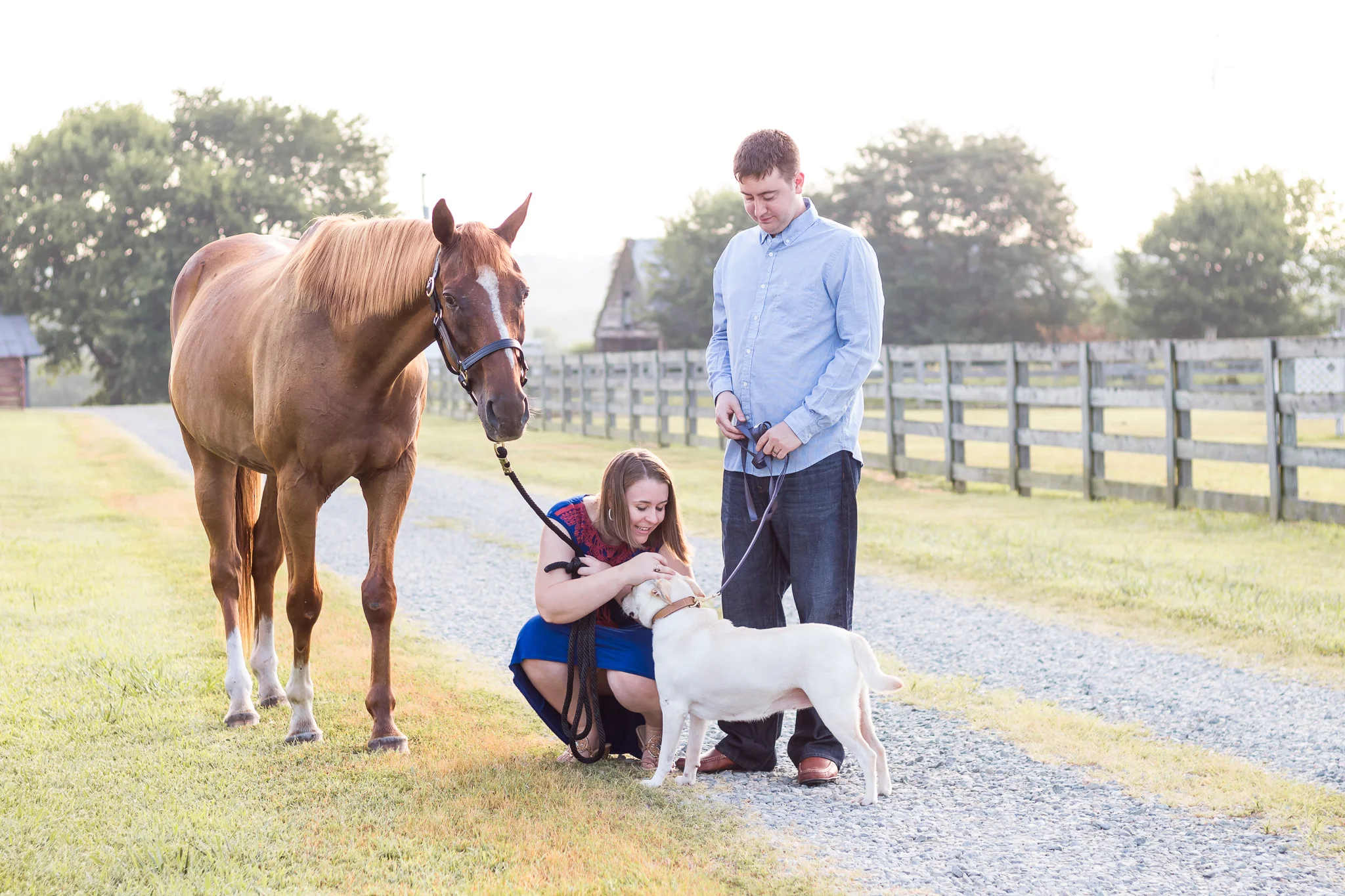 Richmond family and equine portrait photography