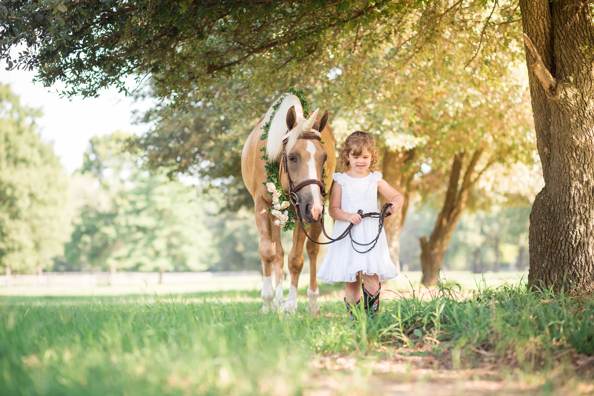 Virginia and Richmond Equine Photographer Unicorn Session