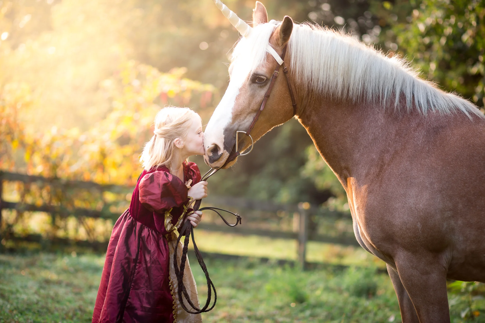 Richmond Virginia Equine Photography Unicorn Session