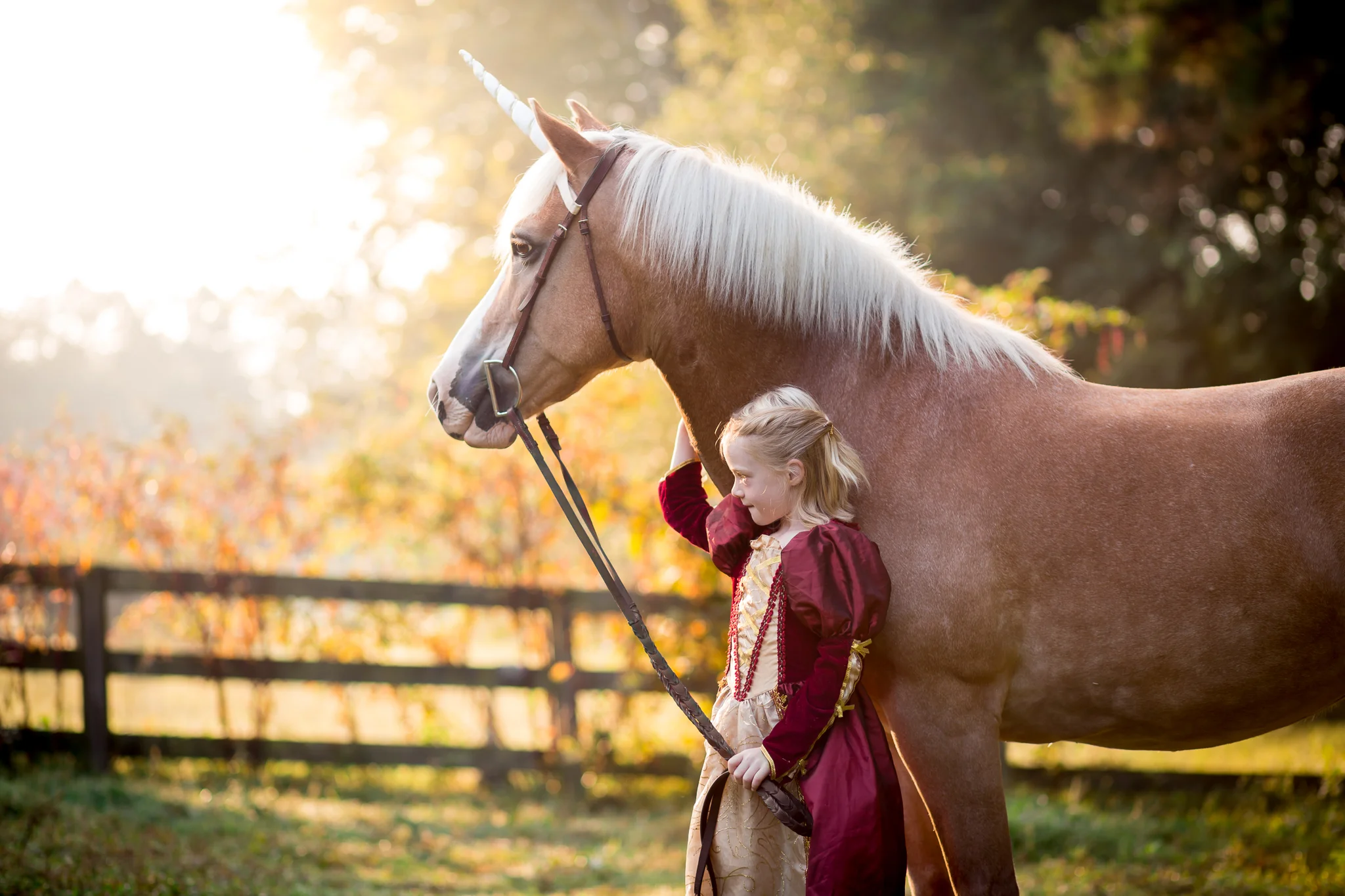 Richmond Virginia Equine Photography Unicorn Session