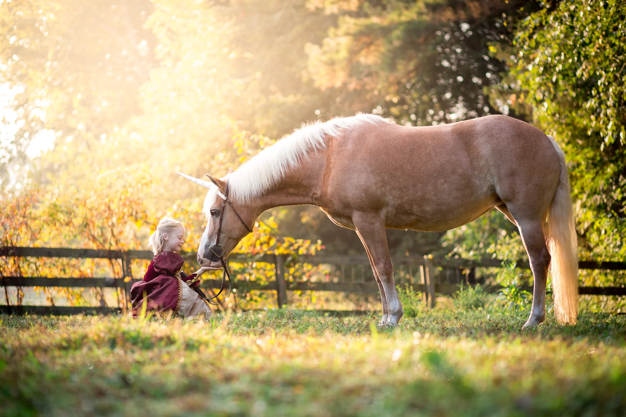 Richmond Virginia Equine Photography Unicorn Session